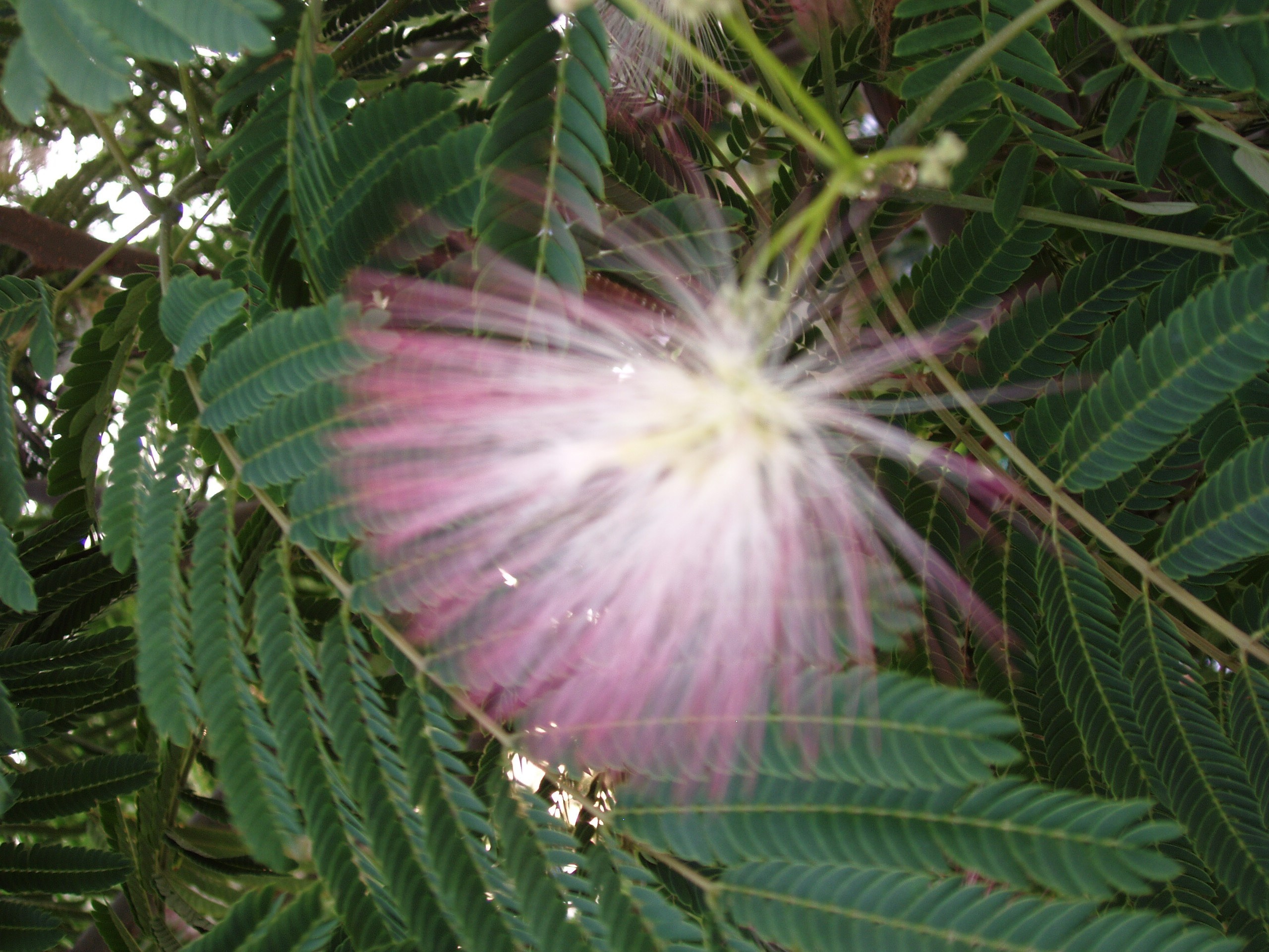 Кабардинка 05-19.07.2013. Семейный, Свадебный фотограф СПБ Питер— Романова Екатерина