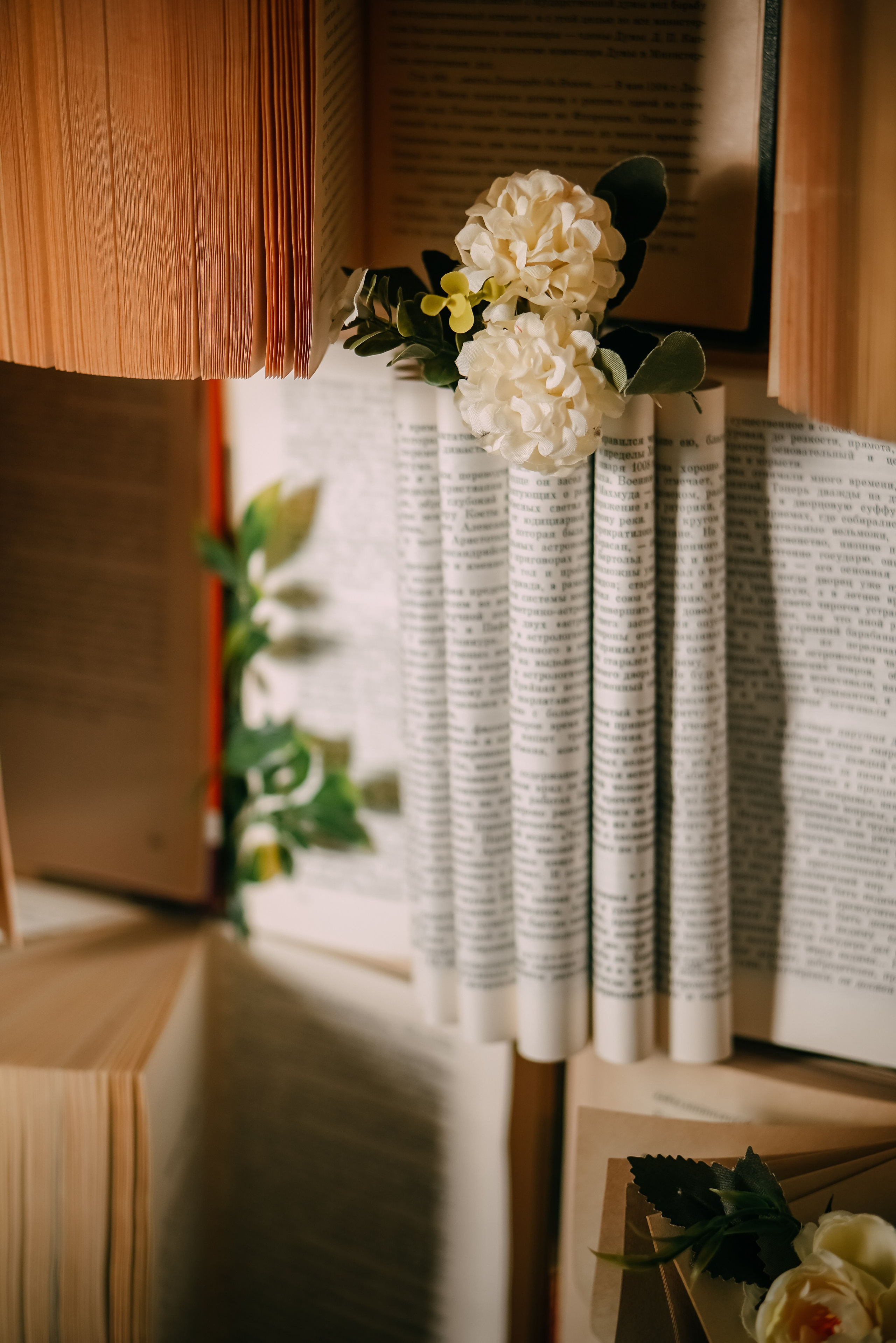 Зал DZEN фотостудия Побелка. Фотостудия в Саратове. Фотограф в Саратове