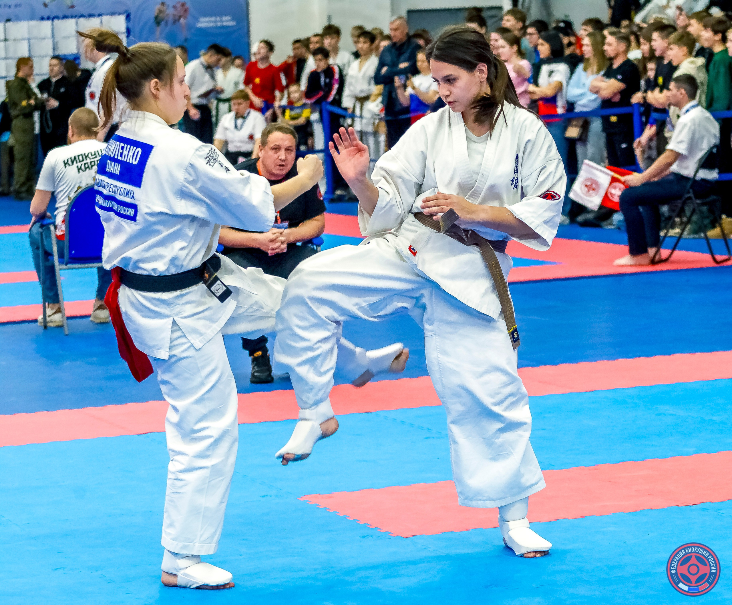 Международный турнир по киокушин «Открытый кубок Seiken». Репортажная съемка в Москве и области. Анималистика