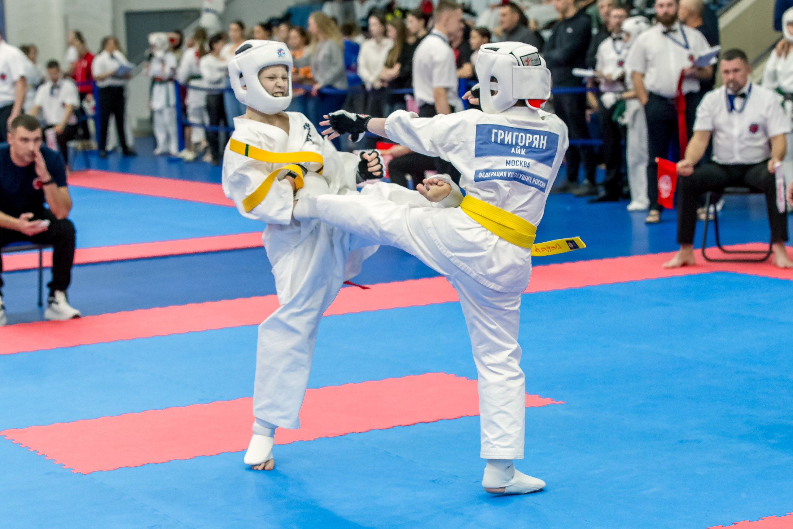 Соревнования по Киокушин памяти С. Увицкого. Репортажная съемка в Москве и области. Анималистика