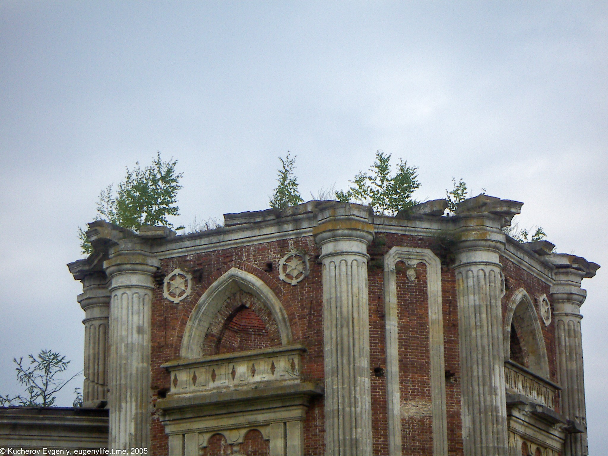 Август 2005. Царицыно. Кучеров Евгений. Фотограф