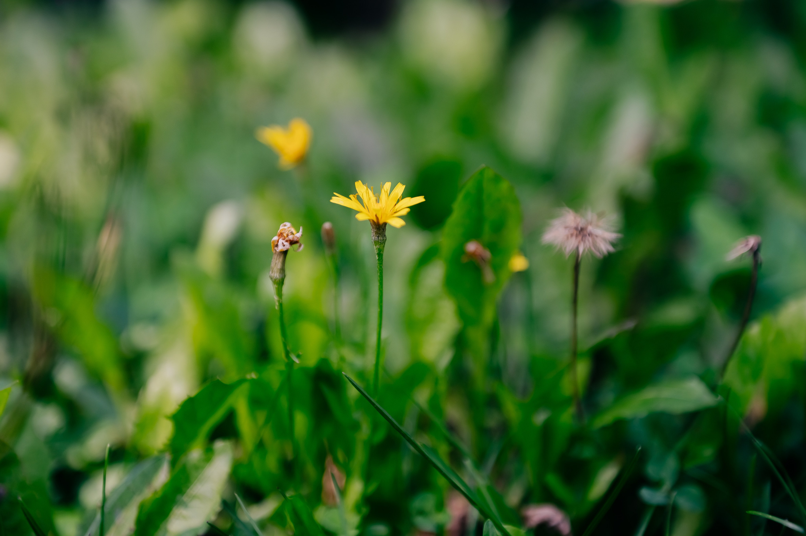 Съёмка танцев. Детский фотограф, семейный фотограф и репортажи в Кемерово