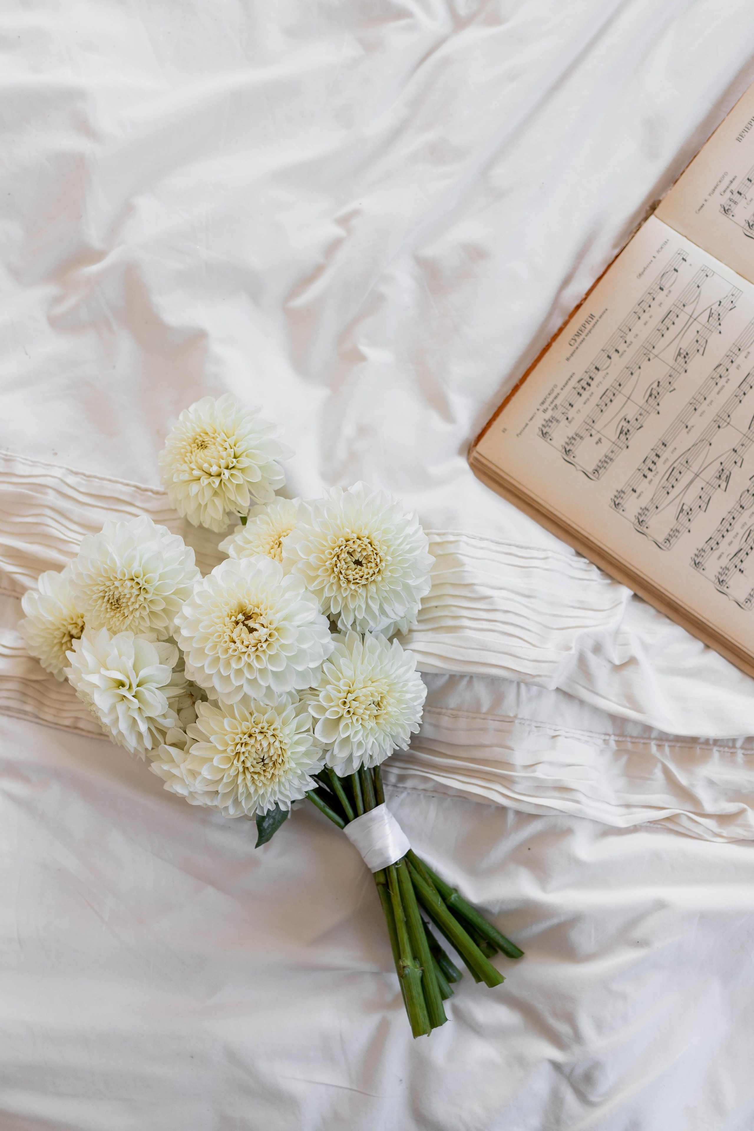 Даша|Коля. Свадебный фотограф Надежда Рыжикова