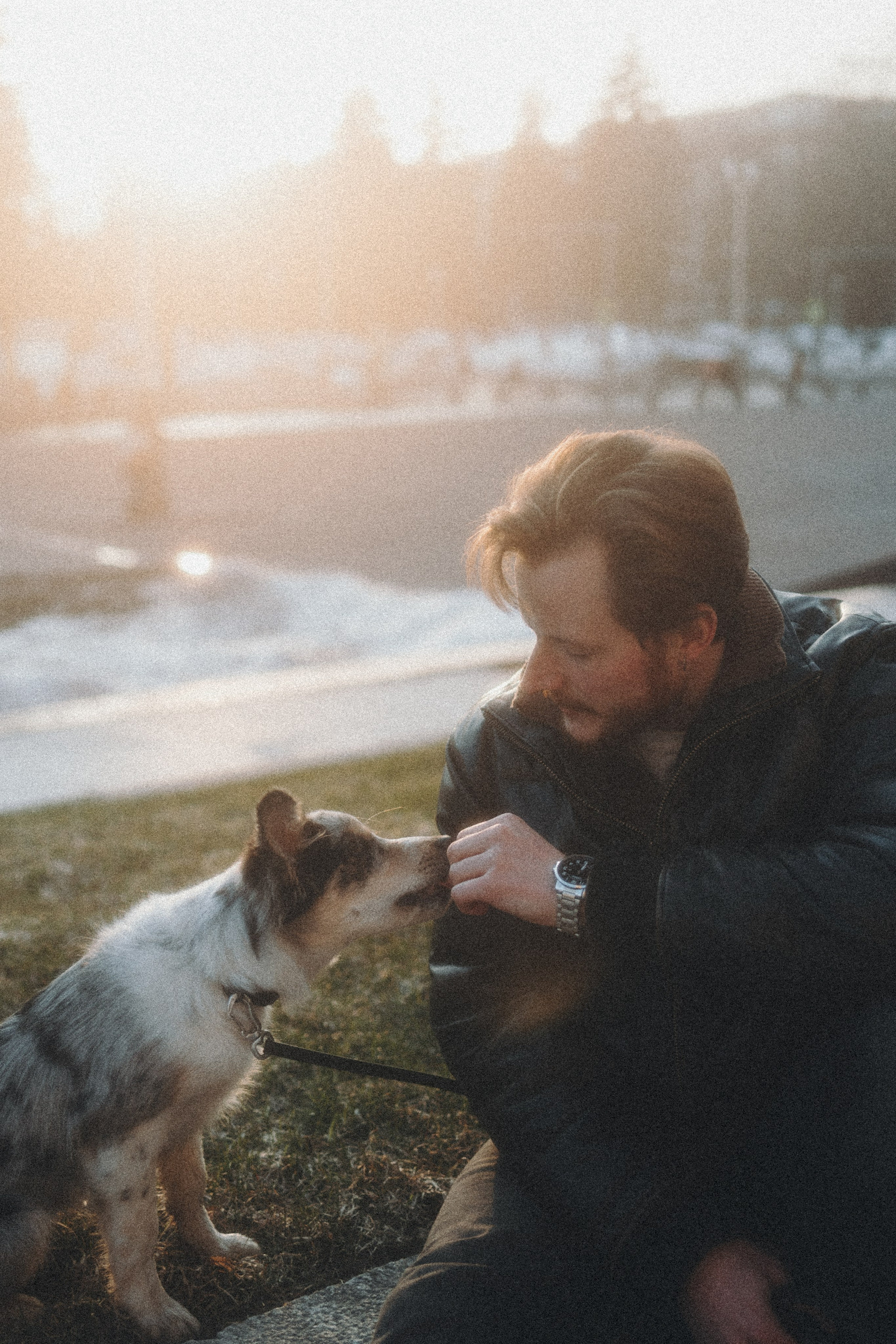 Балу и Илья. Фотограф анималист Анастасия Пикей