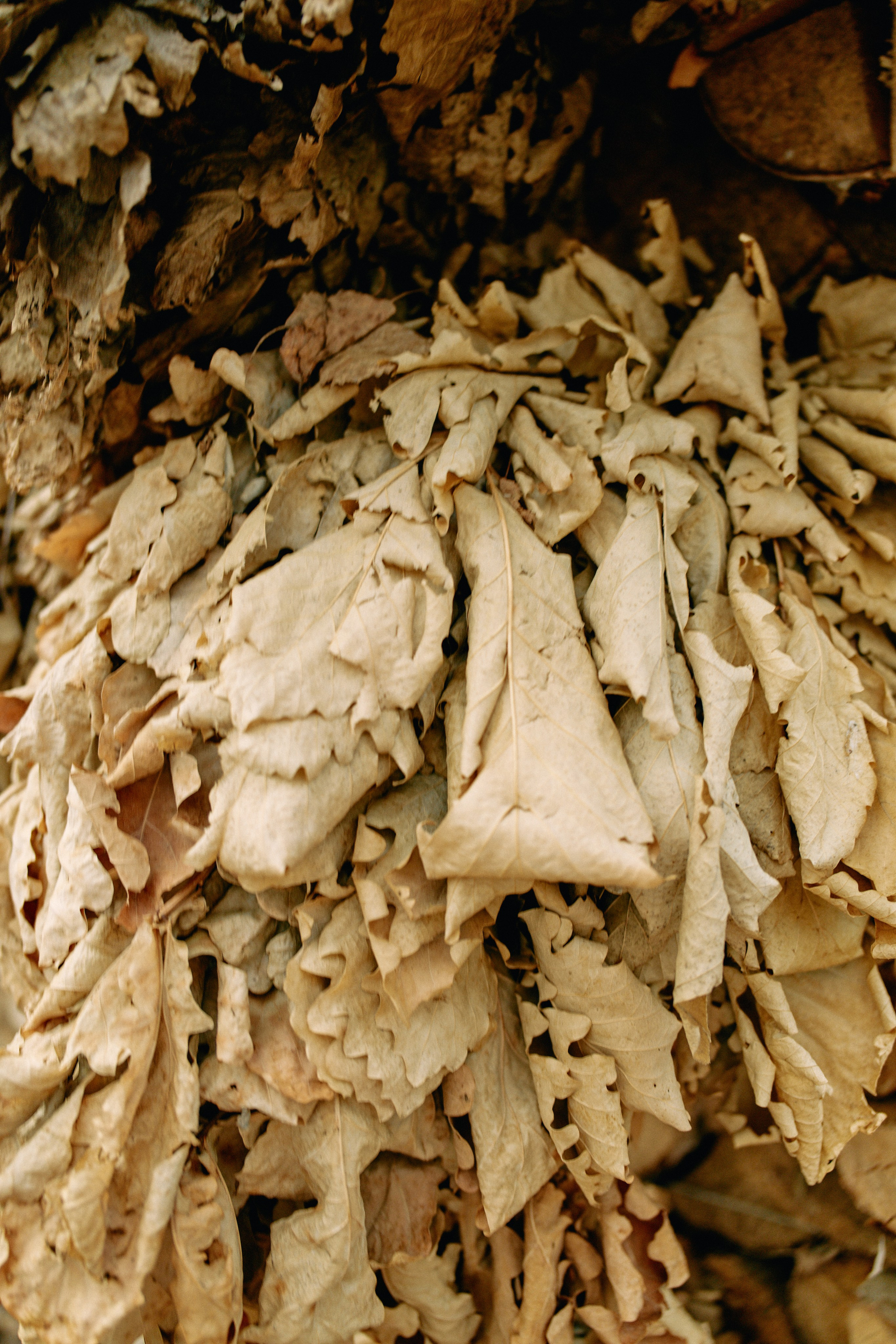 Бутик-отель Поле летом. Профессиональный Фотограф во Владимире, в Москве и в Суздале — Полина Романычева