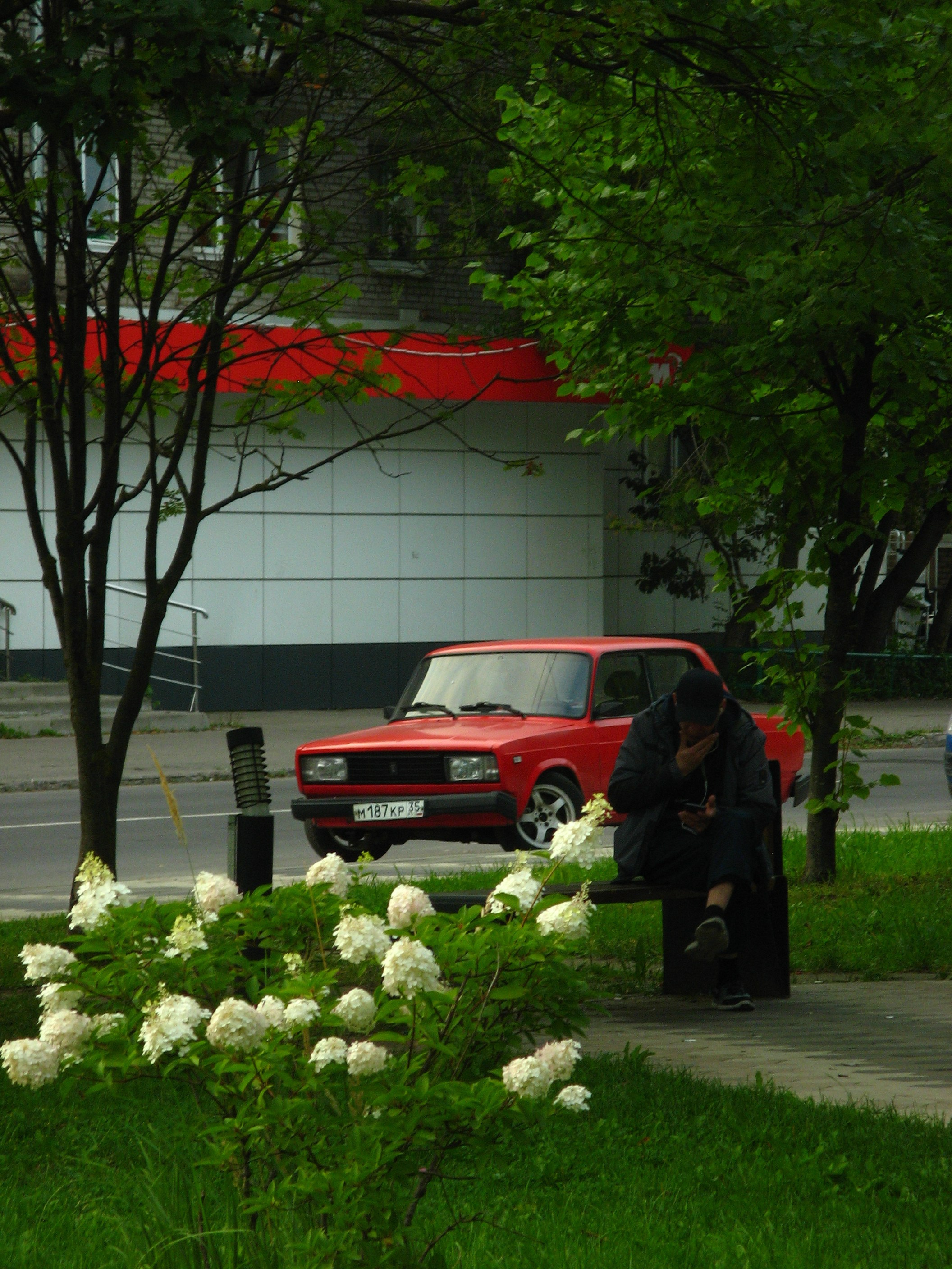Август 2025. Den Mirov — Фотограф, Музыкант
