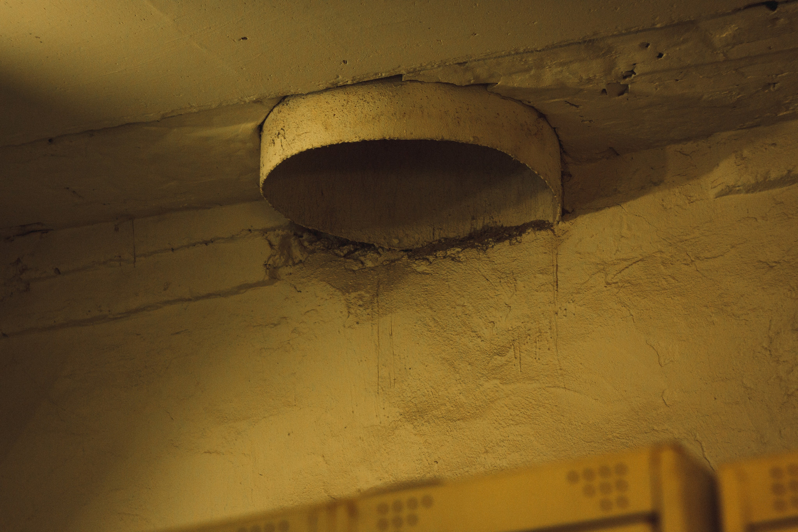 База. Den Mirov — Фотограф, Музыкант