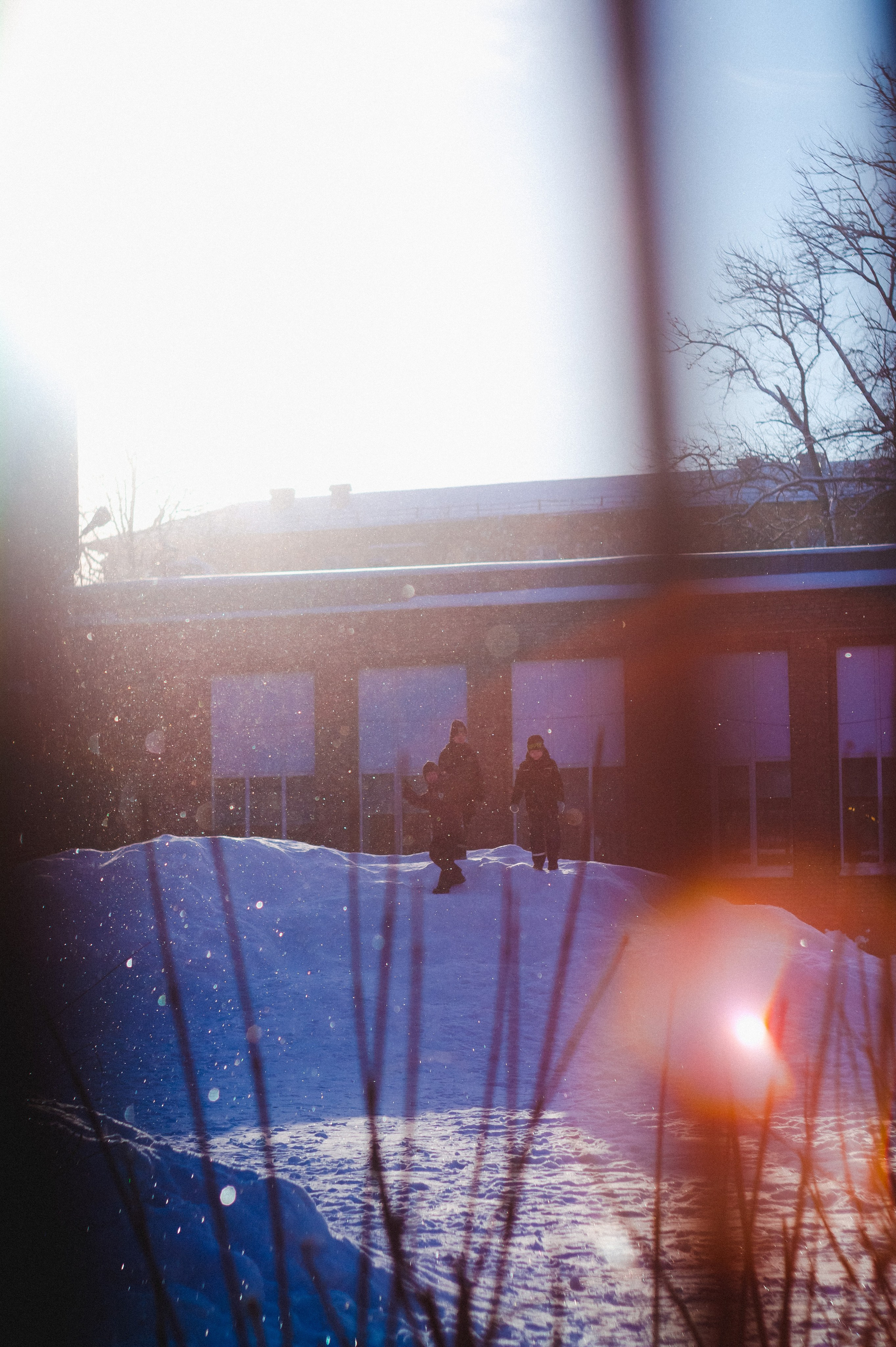 Magnetic storm. Den Mirov — Photographer, Musician