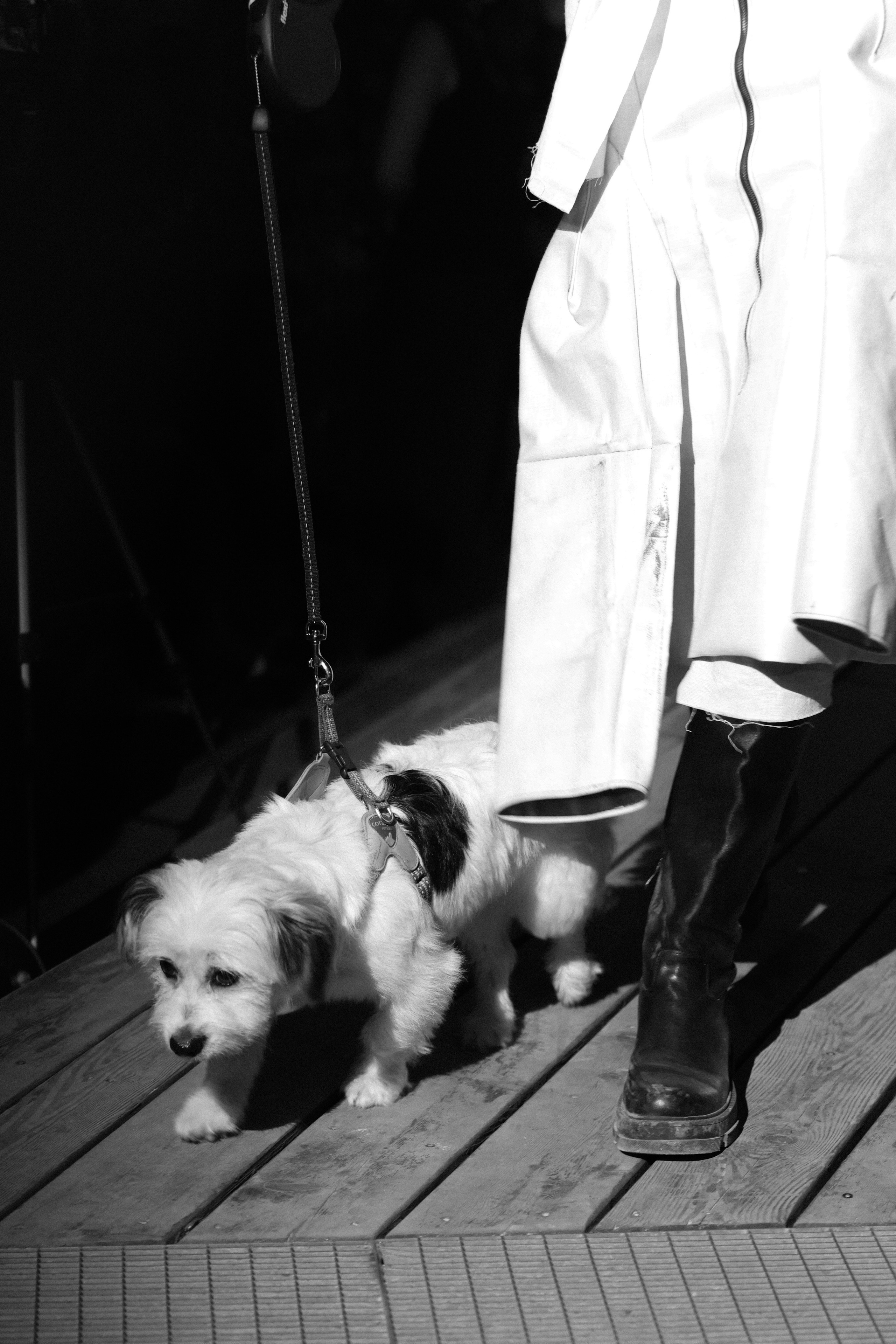 AUXI | ME&MY DOG. Fashion Фотограф в СПб Yana Kochkina