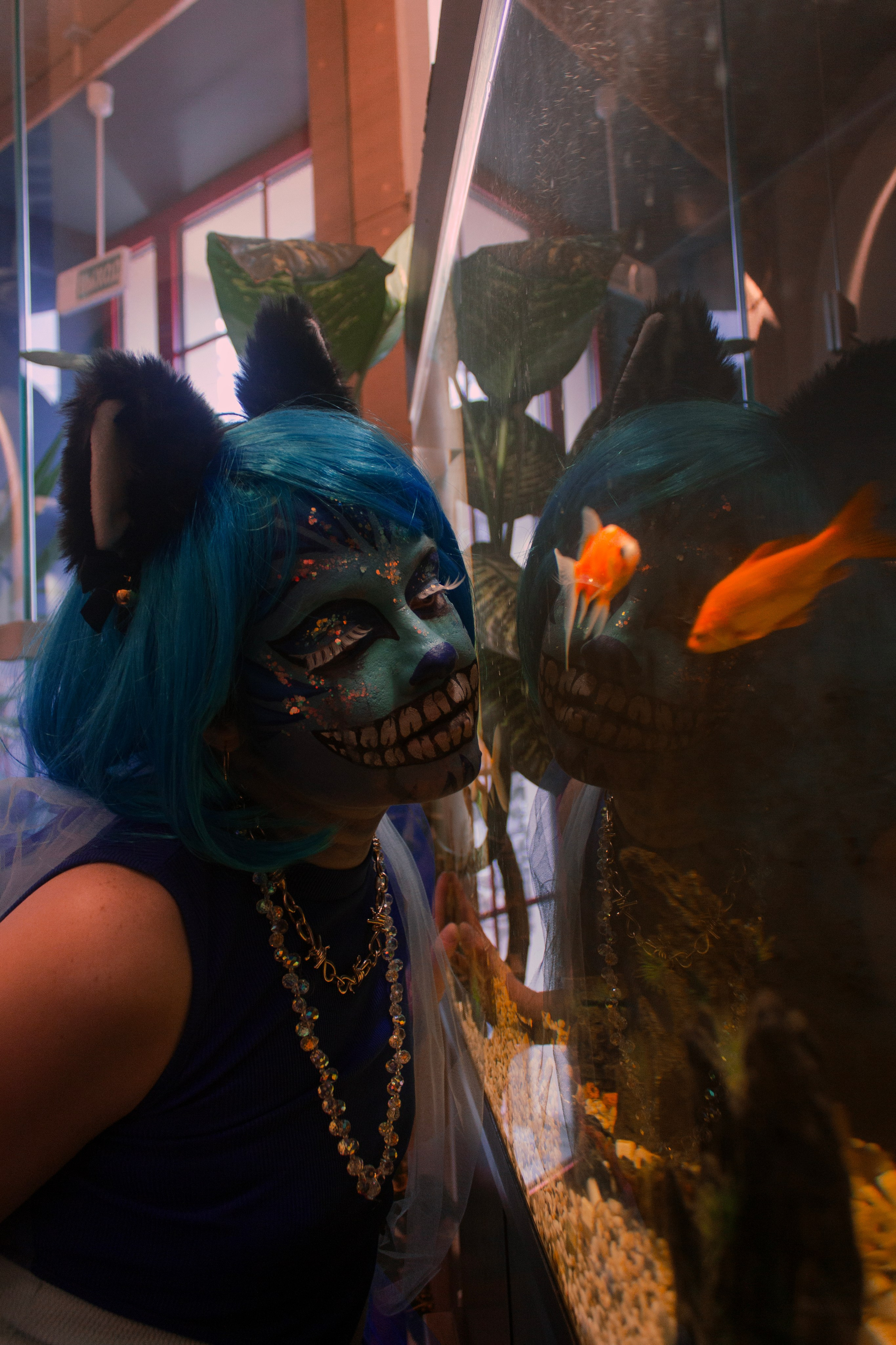 Встречайте: чеширская кошечка