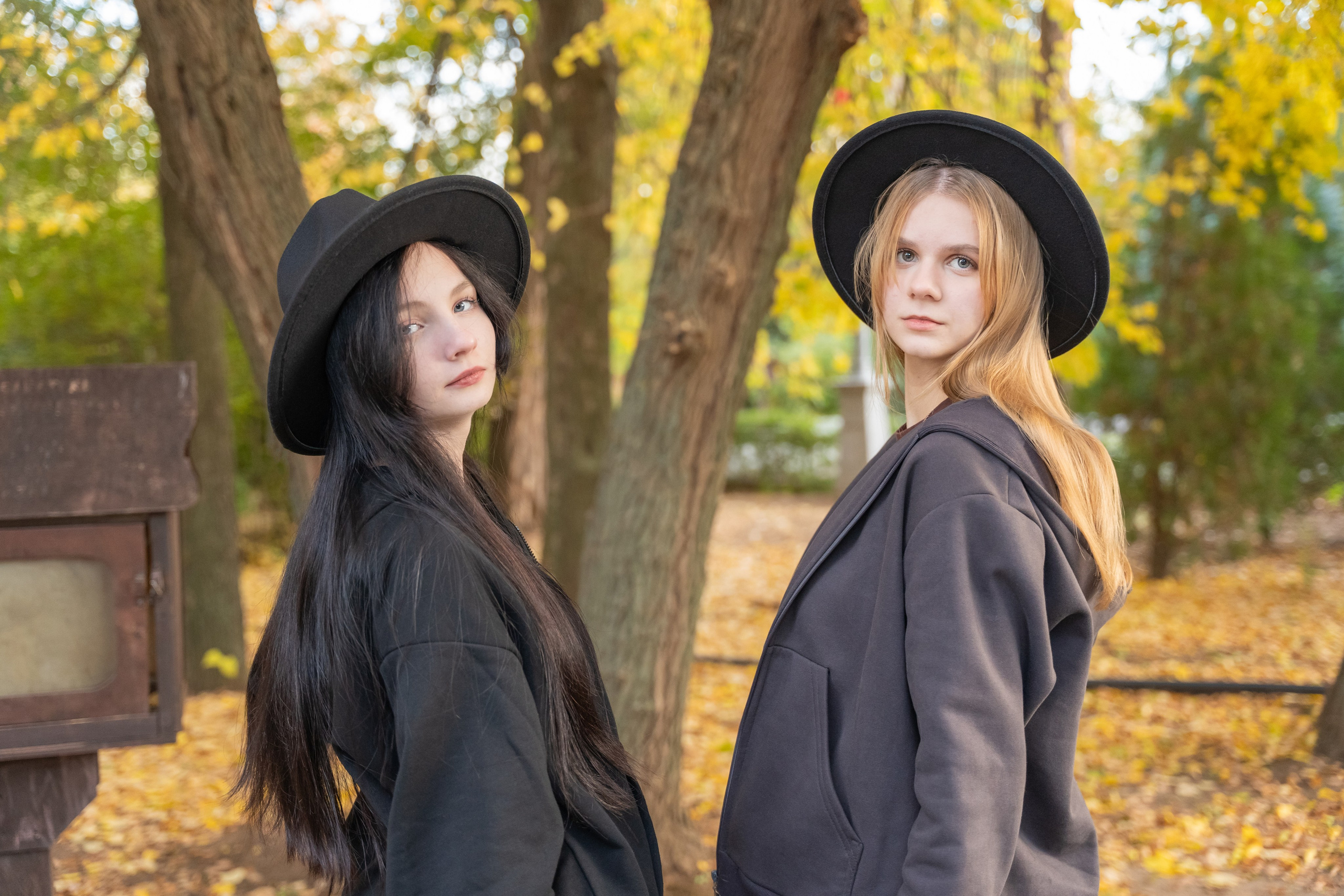 Золотая дружба в осенних красках. Фотограф |Ленинск, Волжский, Волгоград| Наталья Савилова