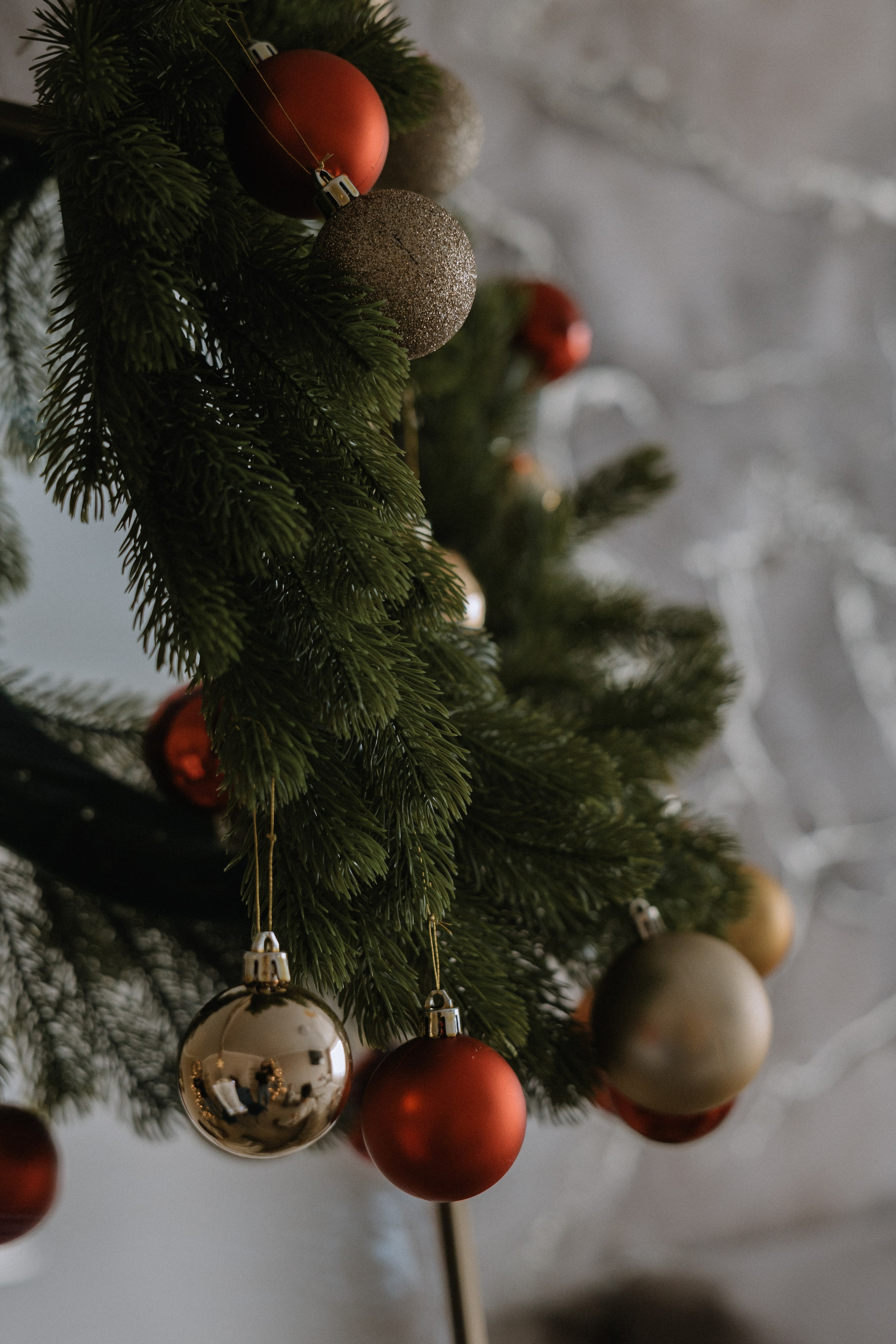 В гостях у Артемия. Свадебный фотограф Юлия Галкина Ростов на Дону