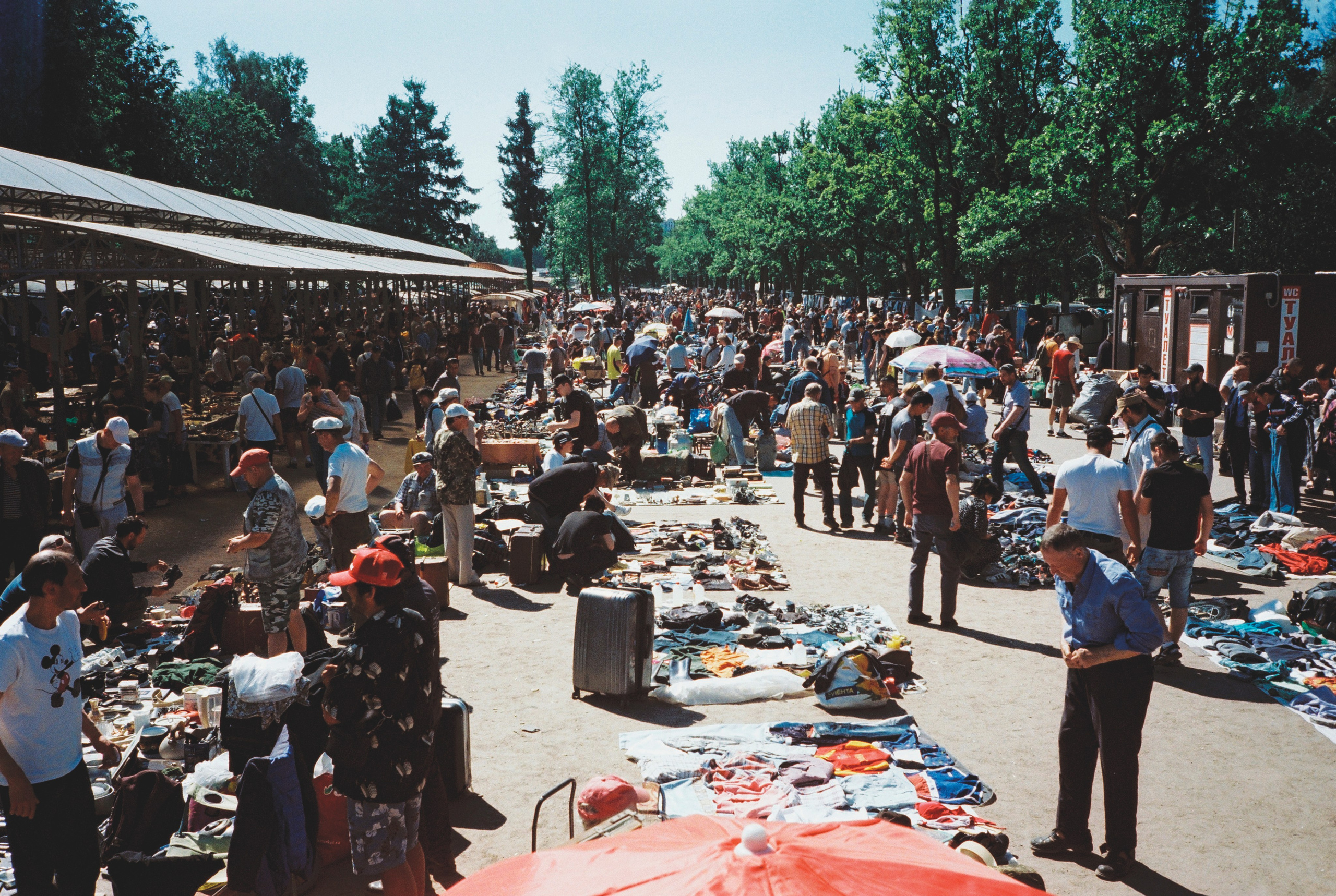 Фотографии цветные. Свадебный и семейный пленочный фотограф в Петербурге Истомина Ирина