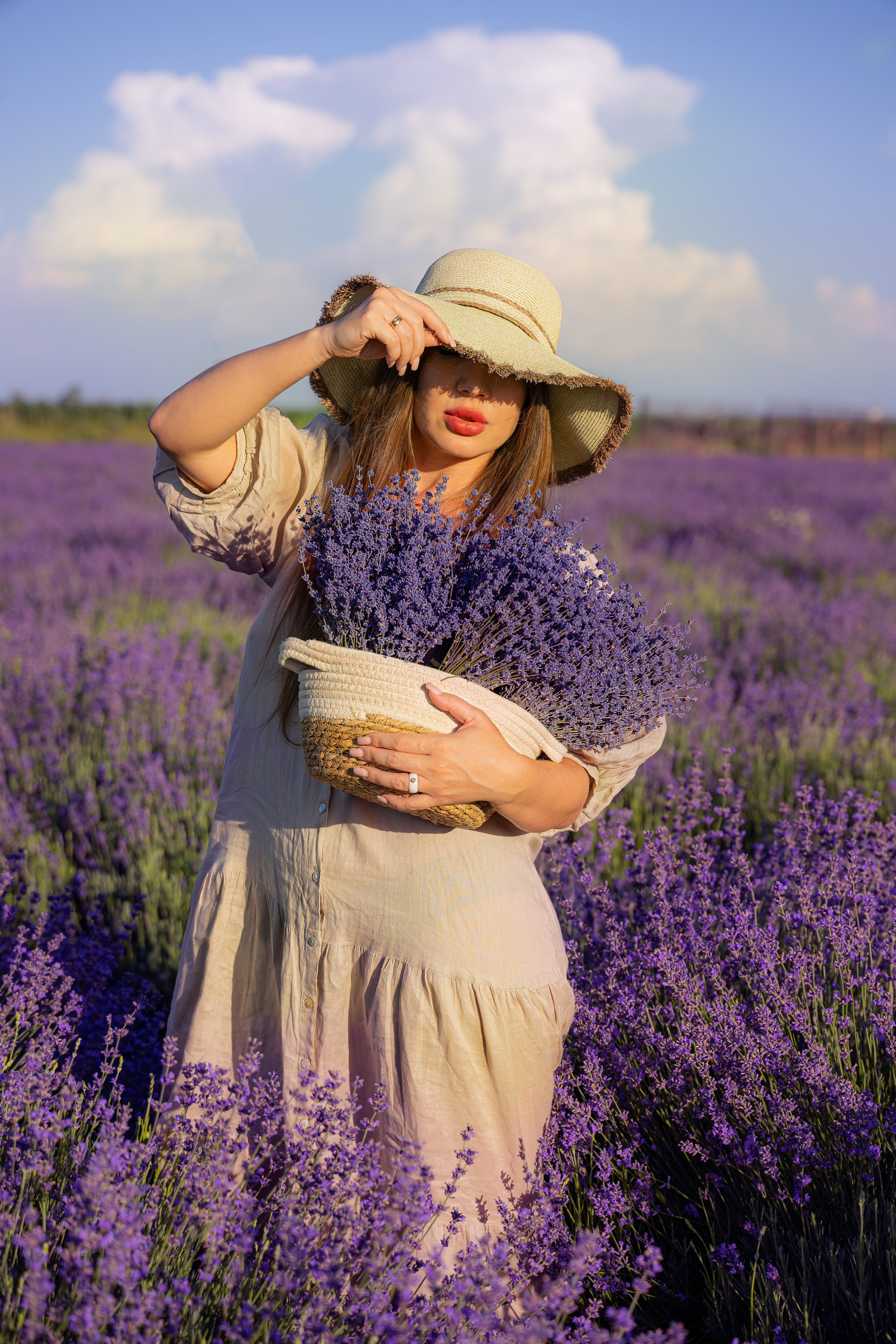 Лаванда. Главная