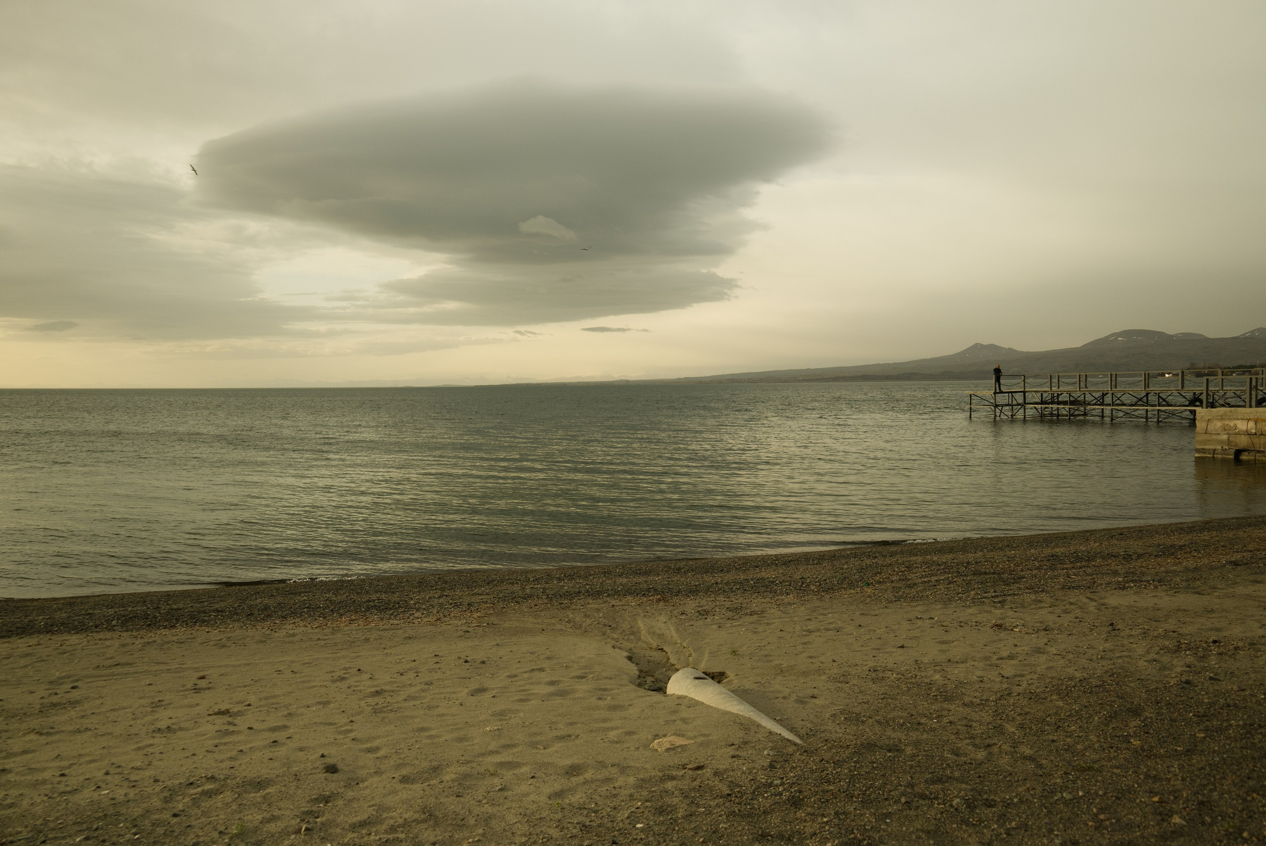 Sevan