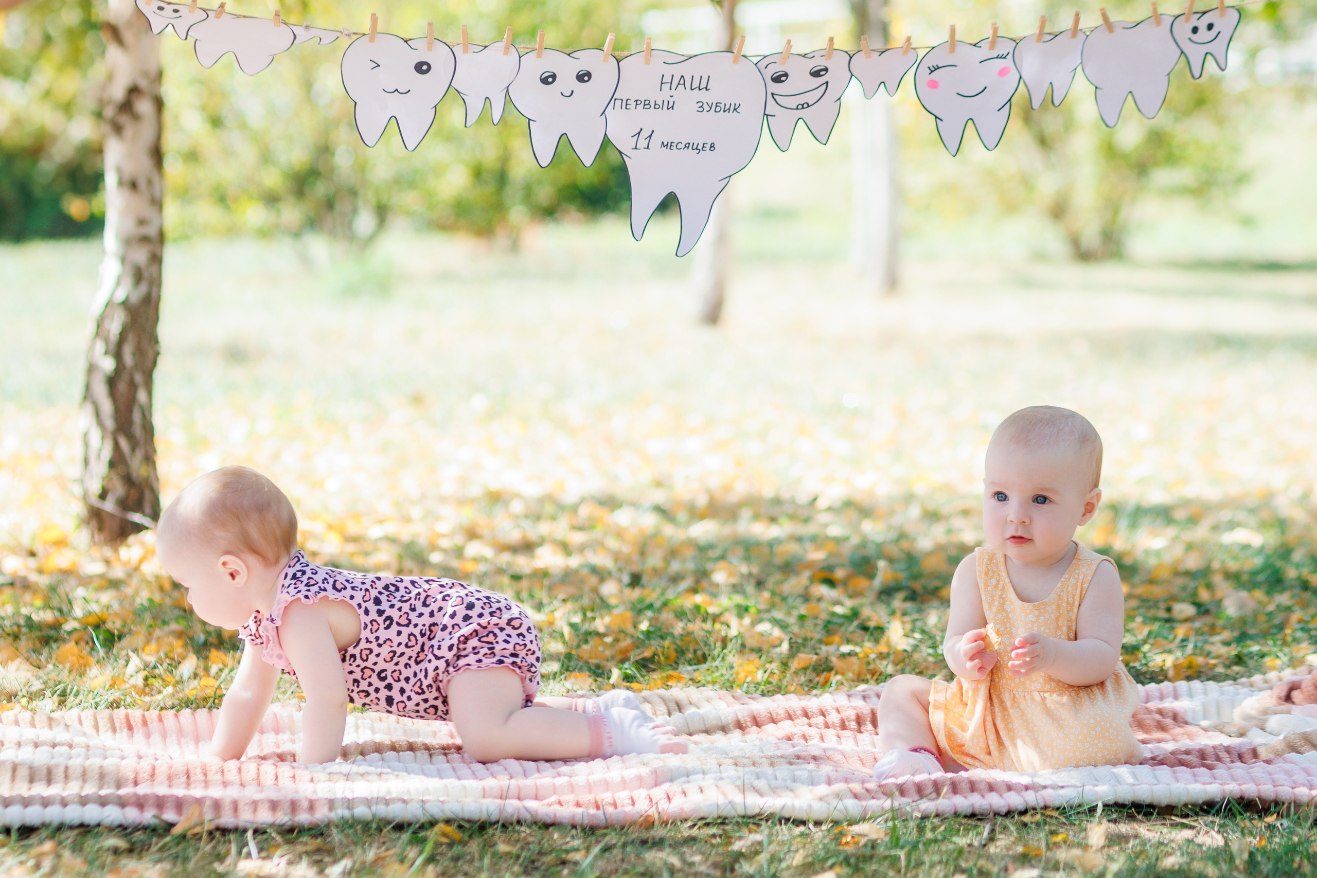 Первый зубик. Свадебный и семейный фотограф в Армавире