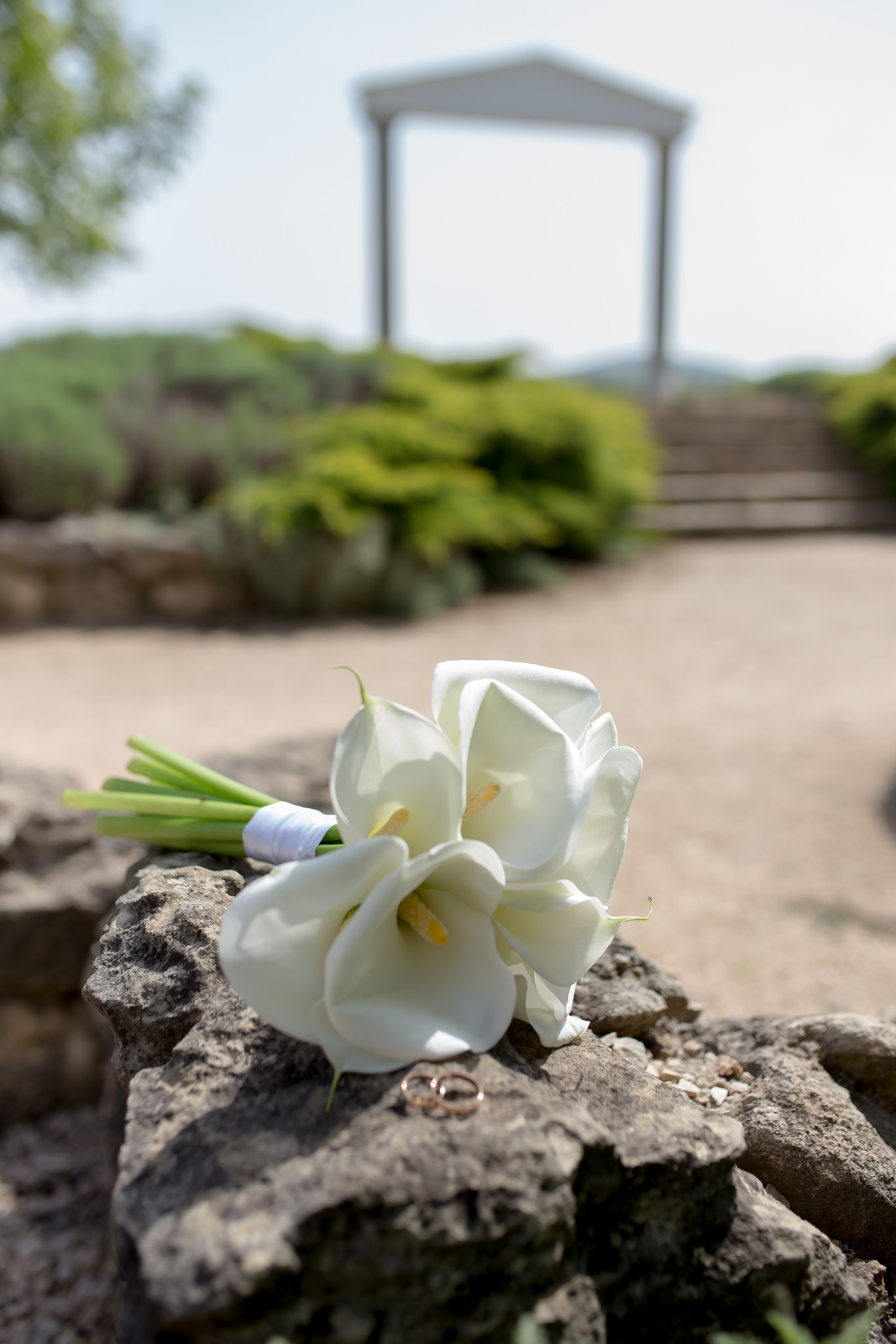Свадебные съёмки. Свадебный и семейный фотограф в Севастополе Элеонора Семашко