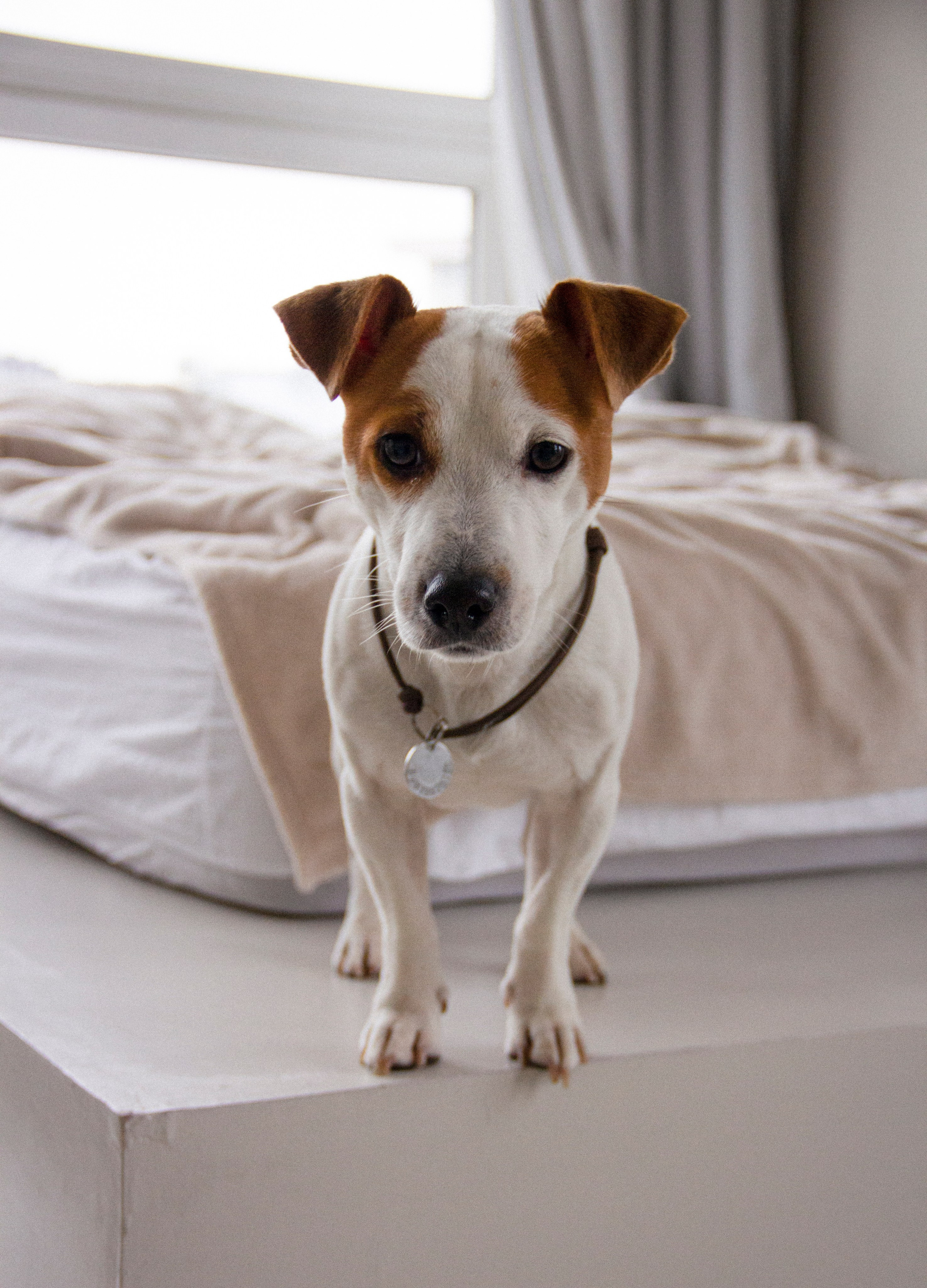 Валерия и Алексей. Фотограф в Санкт-Петербурге Смирнова Диана