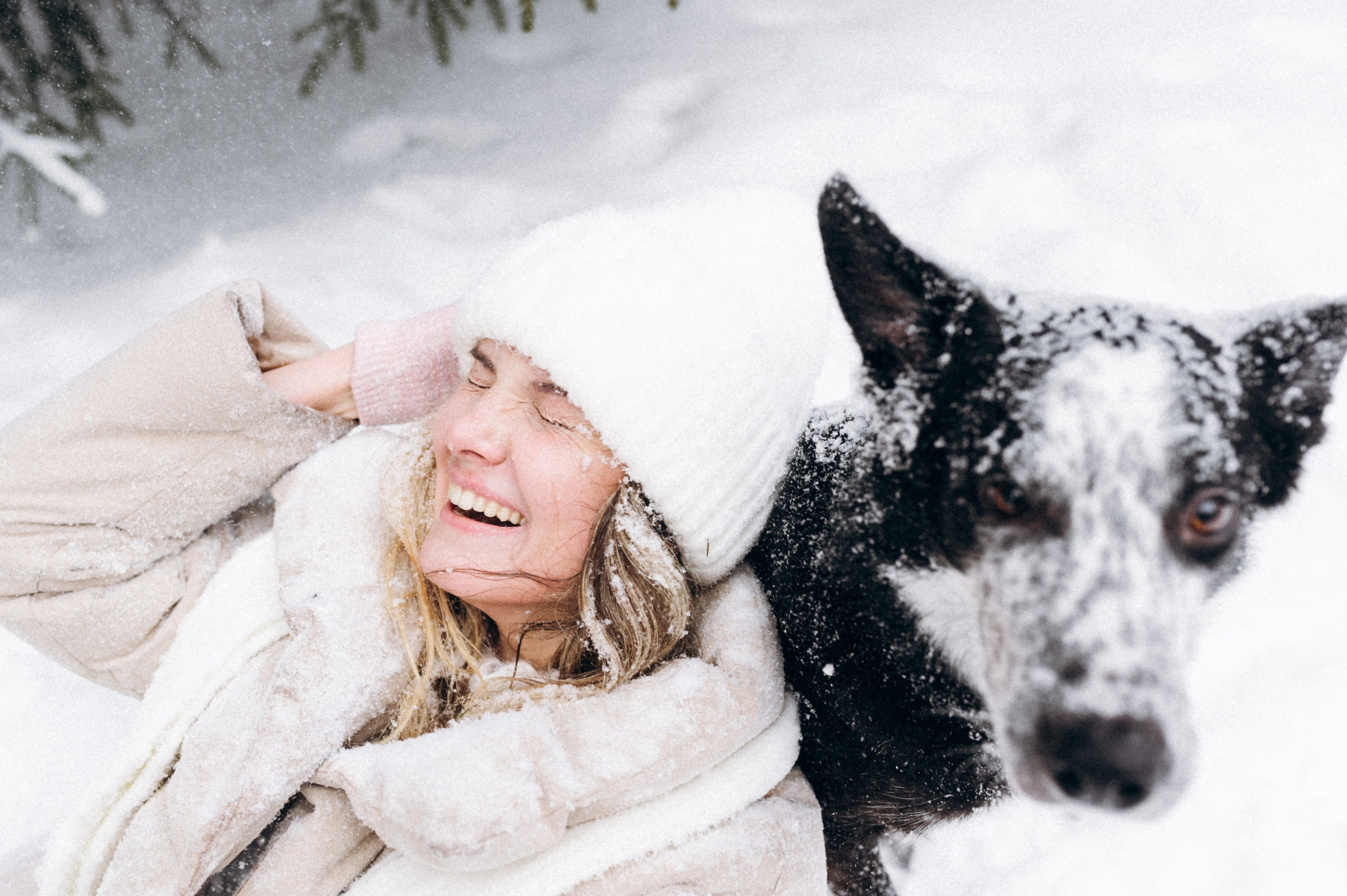 Аня и Милан. Фотограф анималист в Москве Ольга Агушева