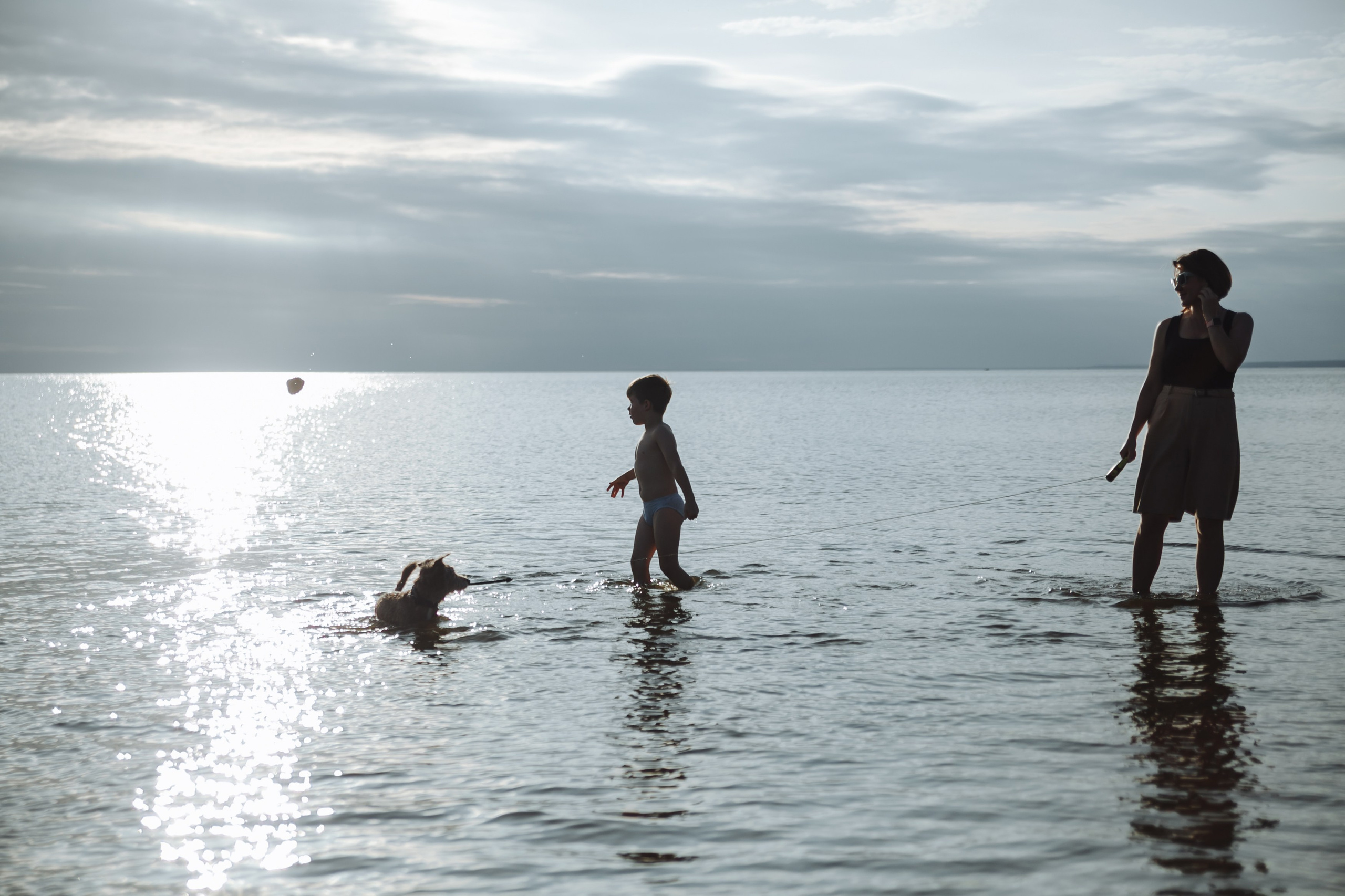 Семейная прогулка с собакой. Семейный фотограф, свадебный фотограф, женский портрет в Санкт-Петербу
