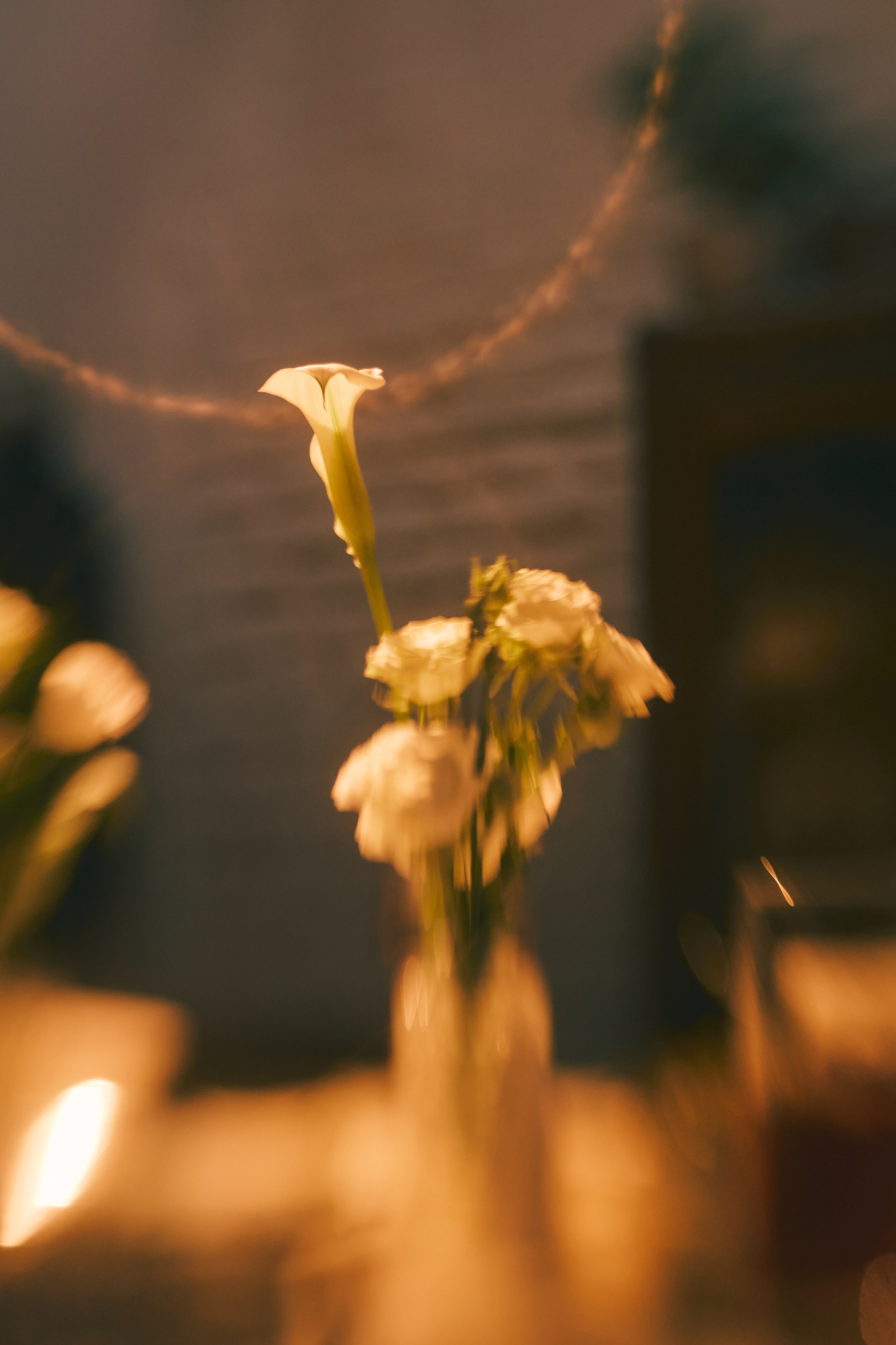 Алексей и Татьяна. Photographer on Rostov on Don