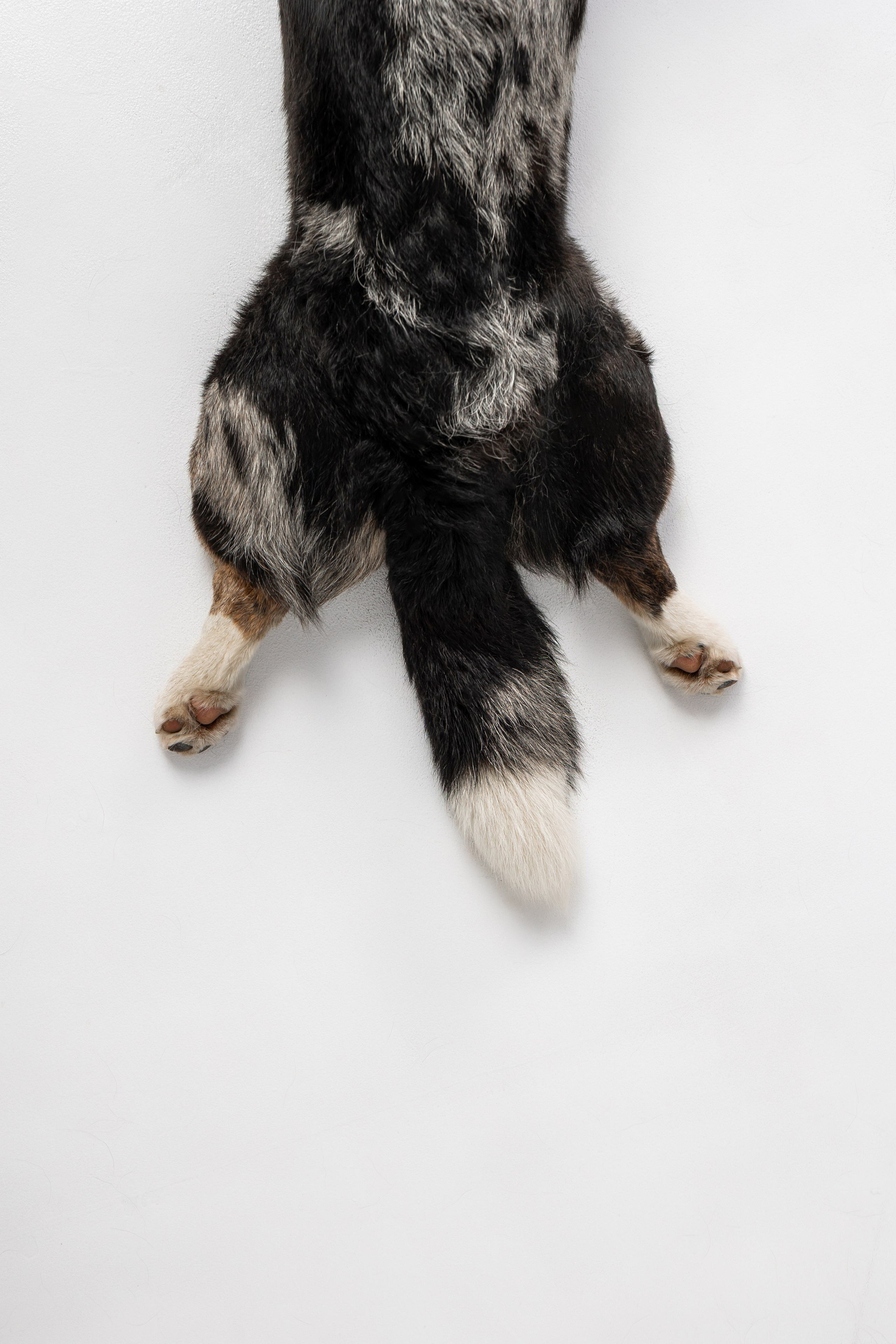 Анатолий и Рагнар