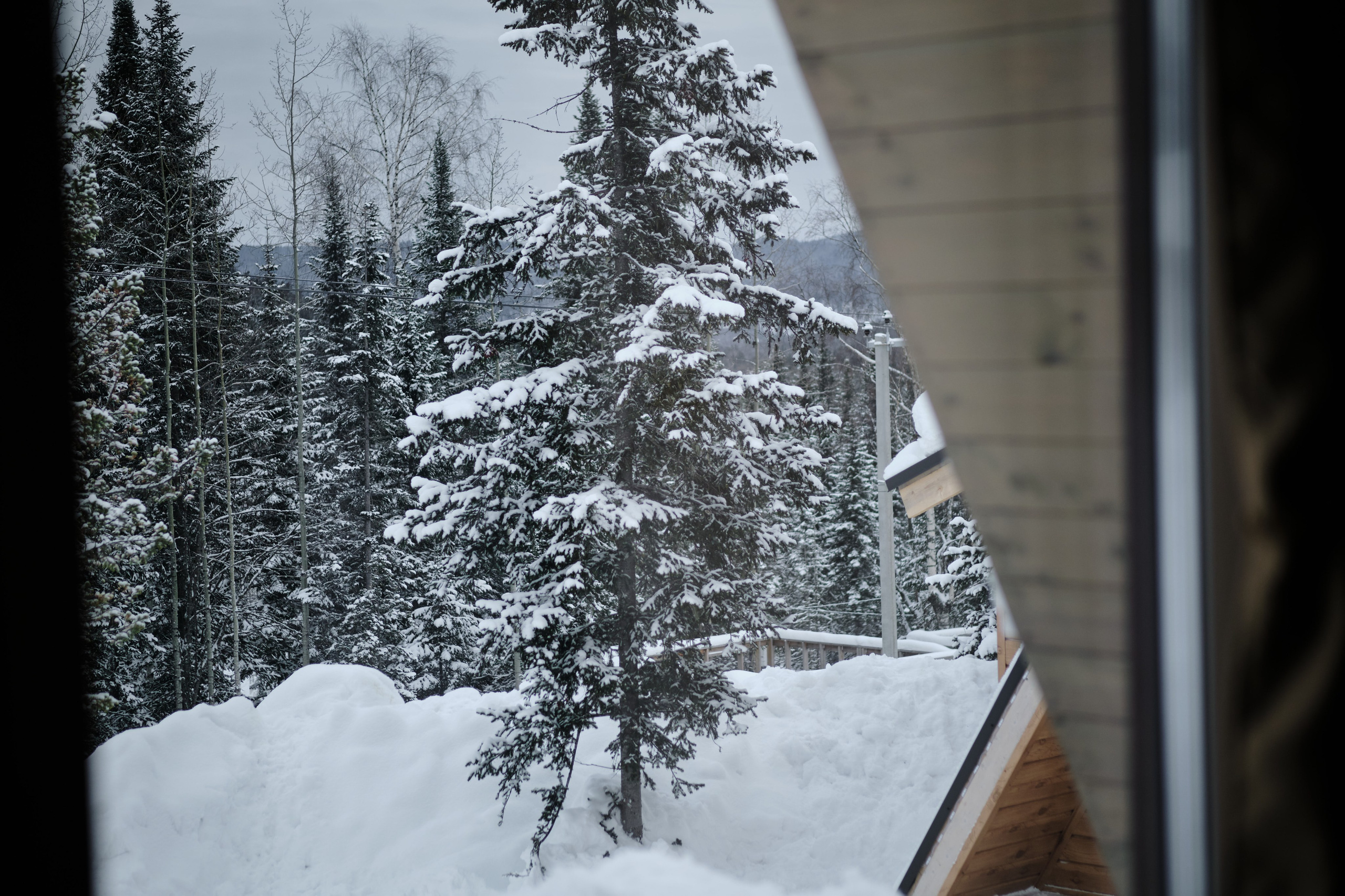 Ледовая 59 Дом 1. Свадебный и семейный фотограф в Новокузнецке Иван Иванов