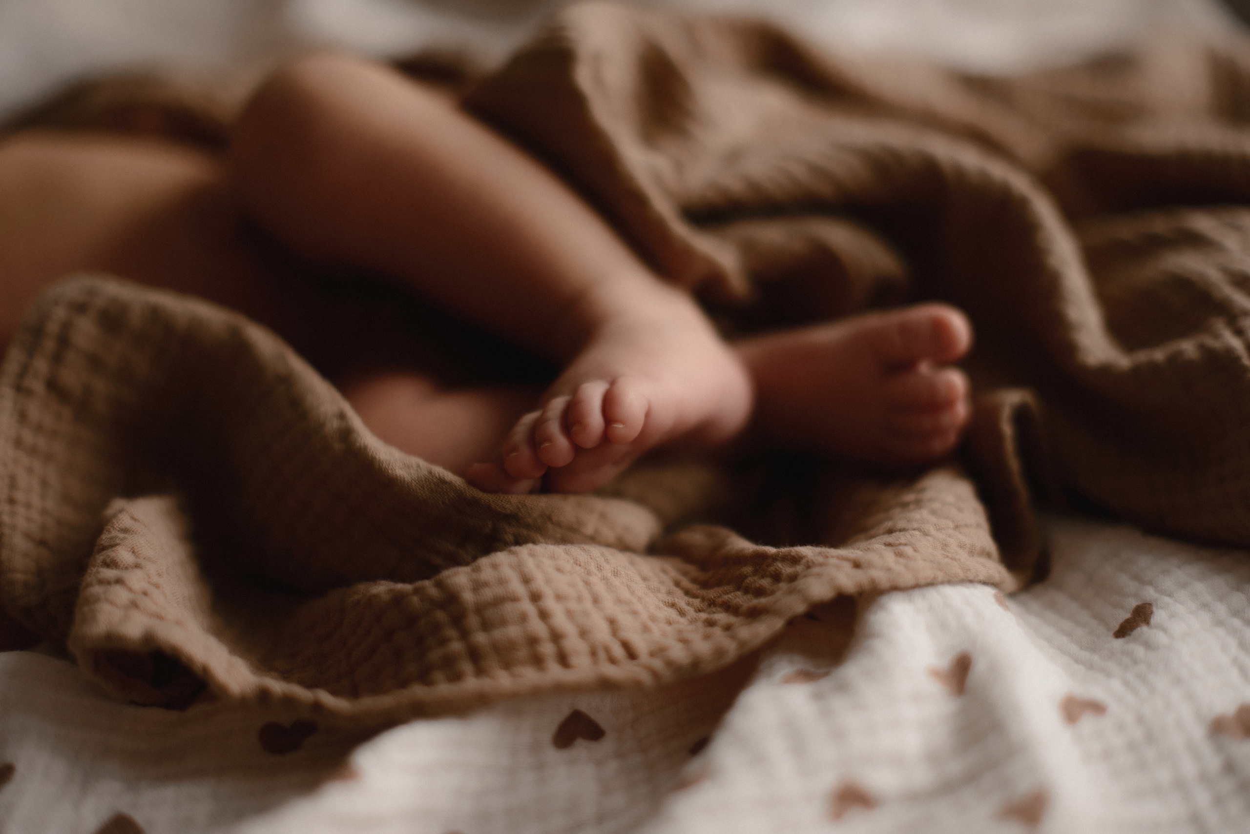 Филалла и Теона. Семейный фотограф в г. Ставрополь, Сорокина Мария