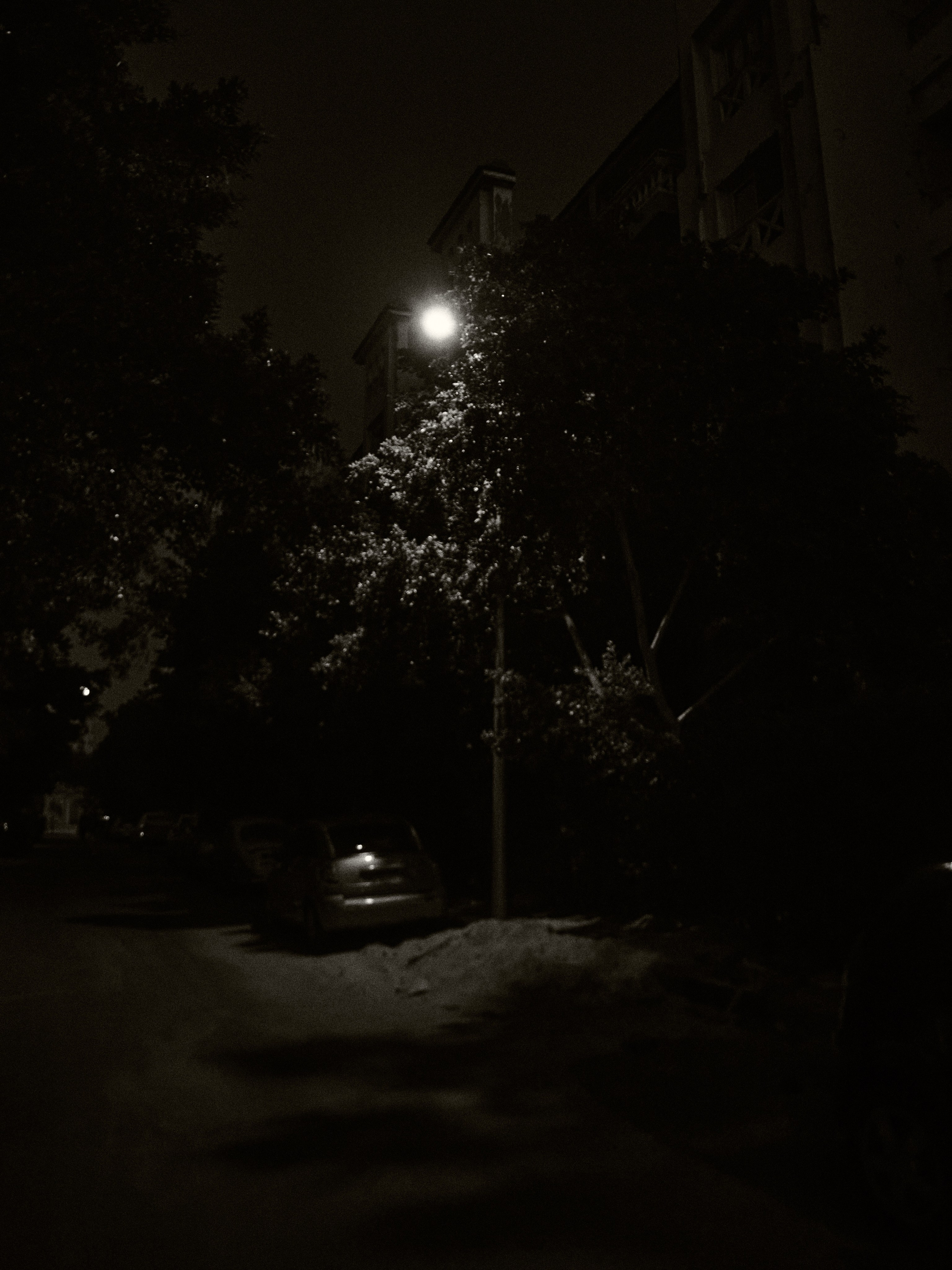 Диптих. Jorgis — фотограф в Хургаде / обучение фотографии