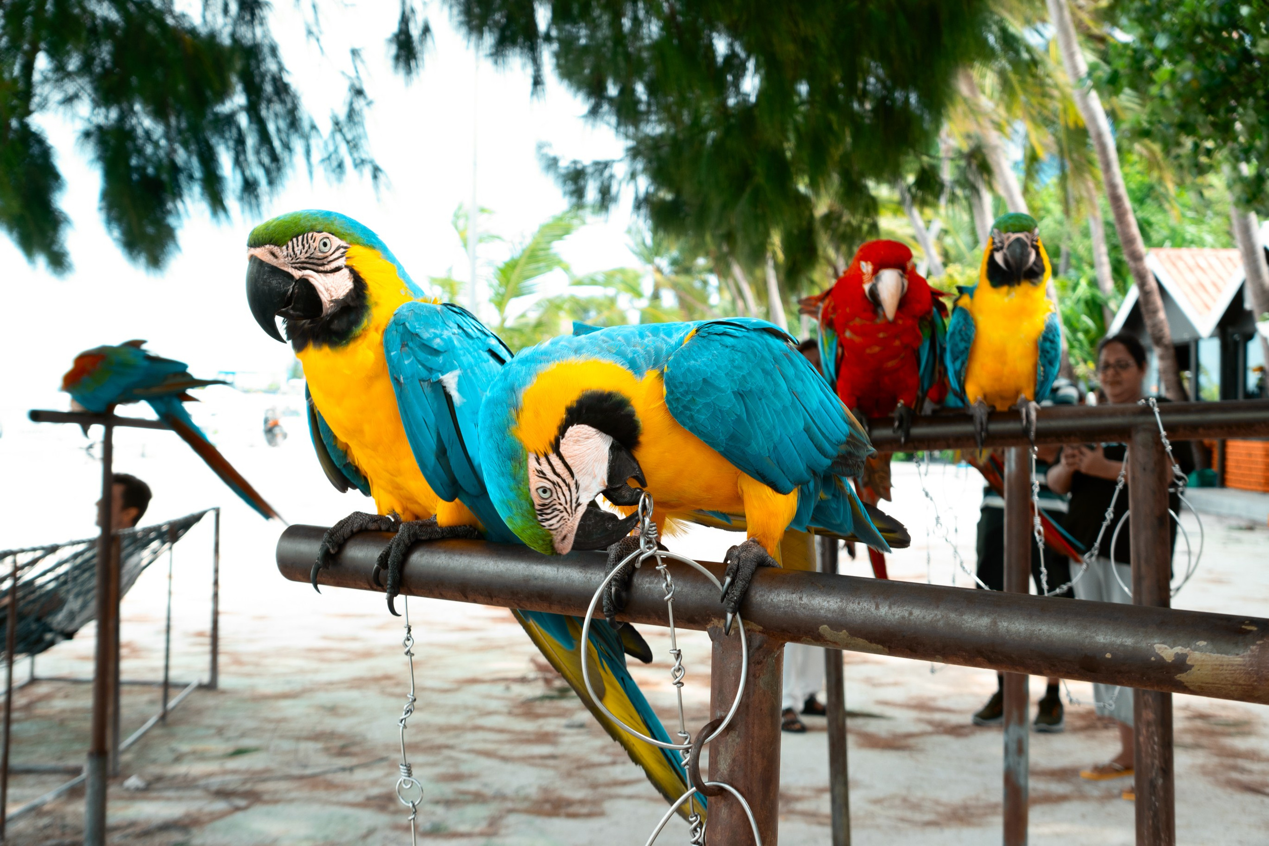 Ktokuda. Фотограф в Хабаровске. Фотография за 24 часа