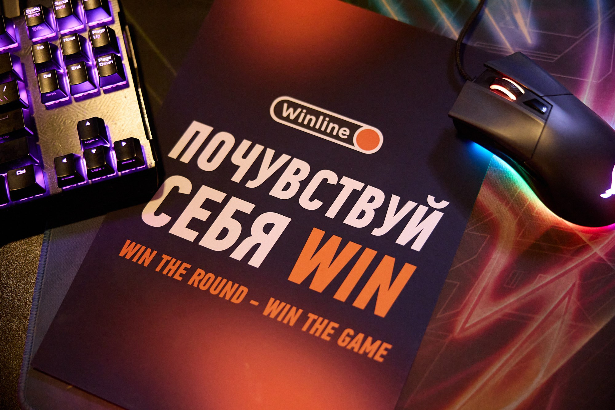 лучший репортаж