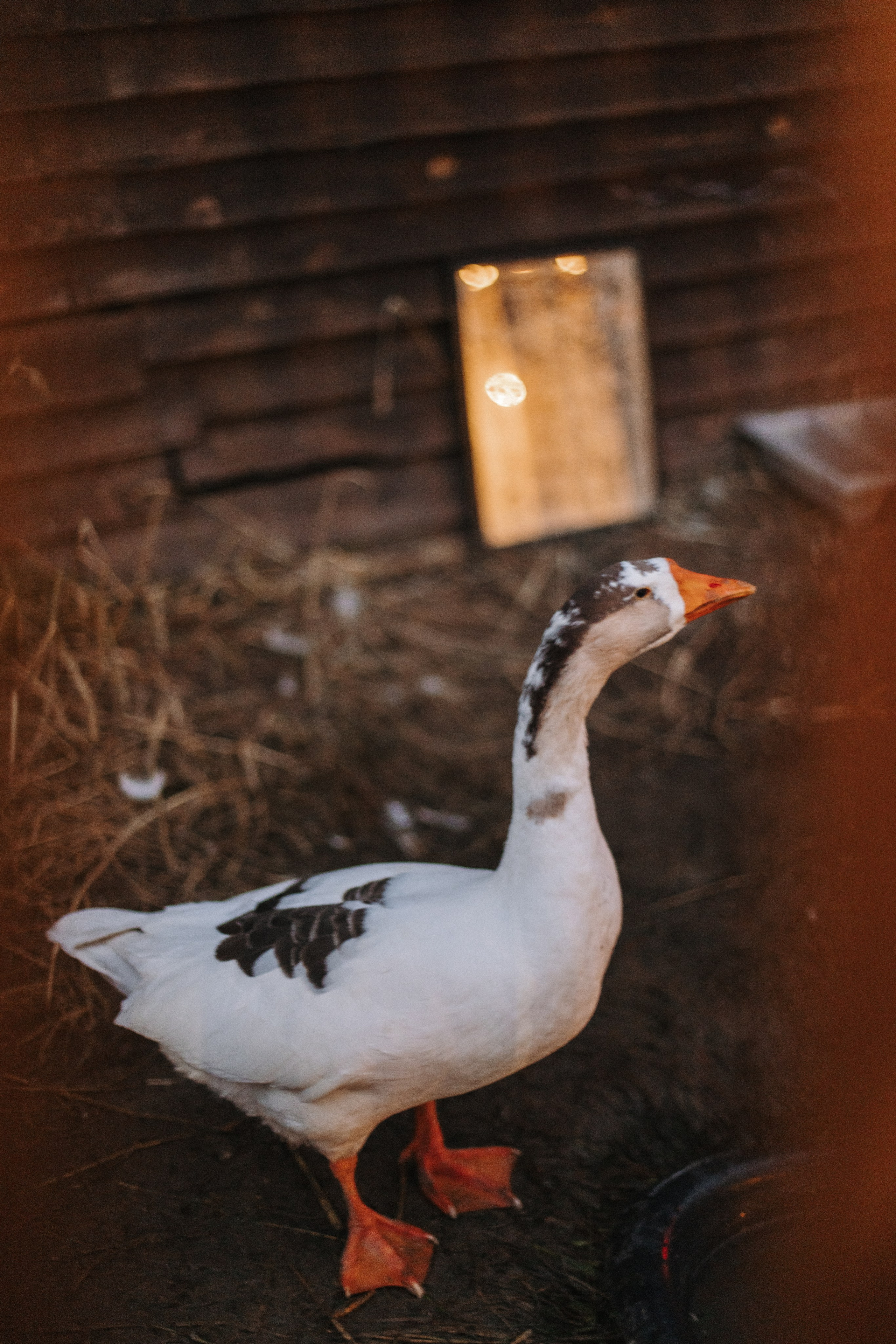 Helen. Фотограф на Юге России