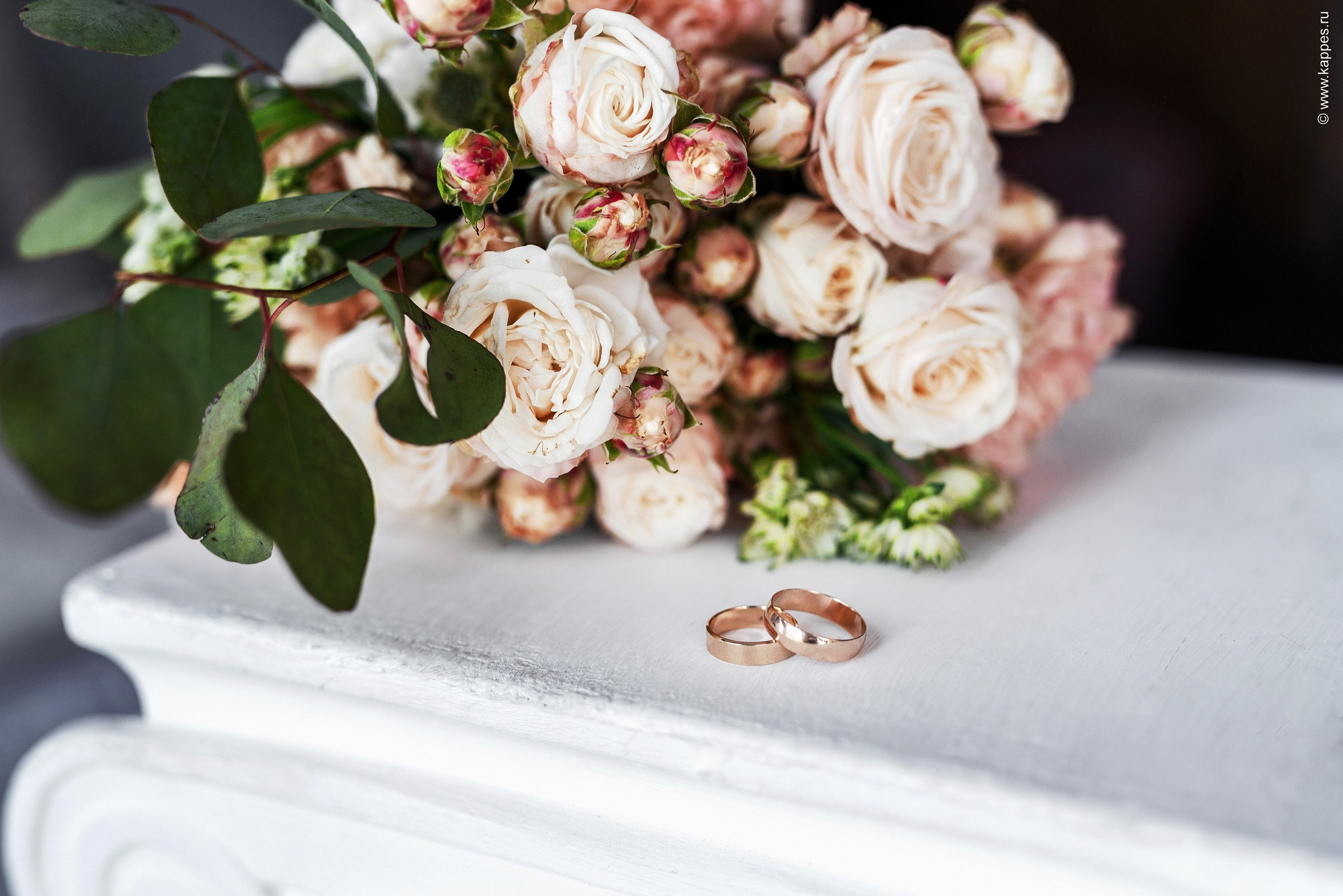 Невеста Барнаул фотограф. Фотограф Опыт Качество Скорость Горный Алтай Барнаул