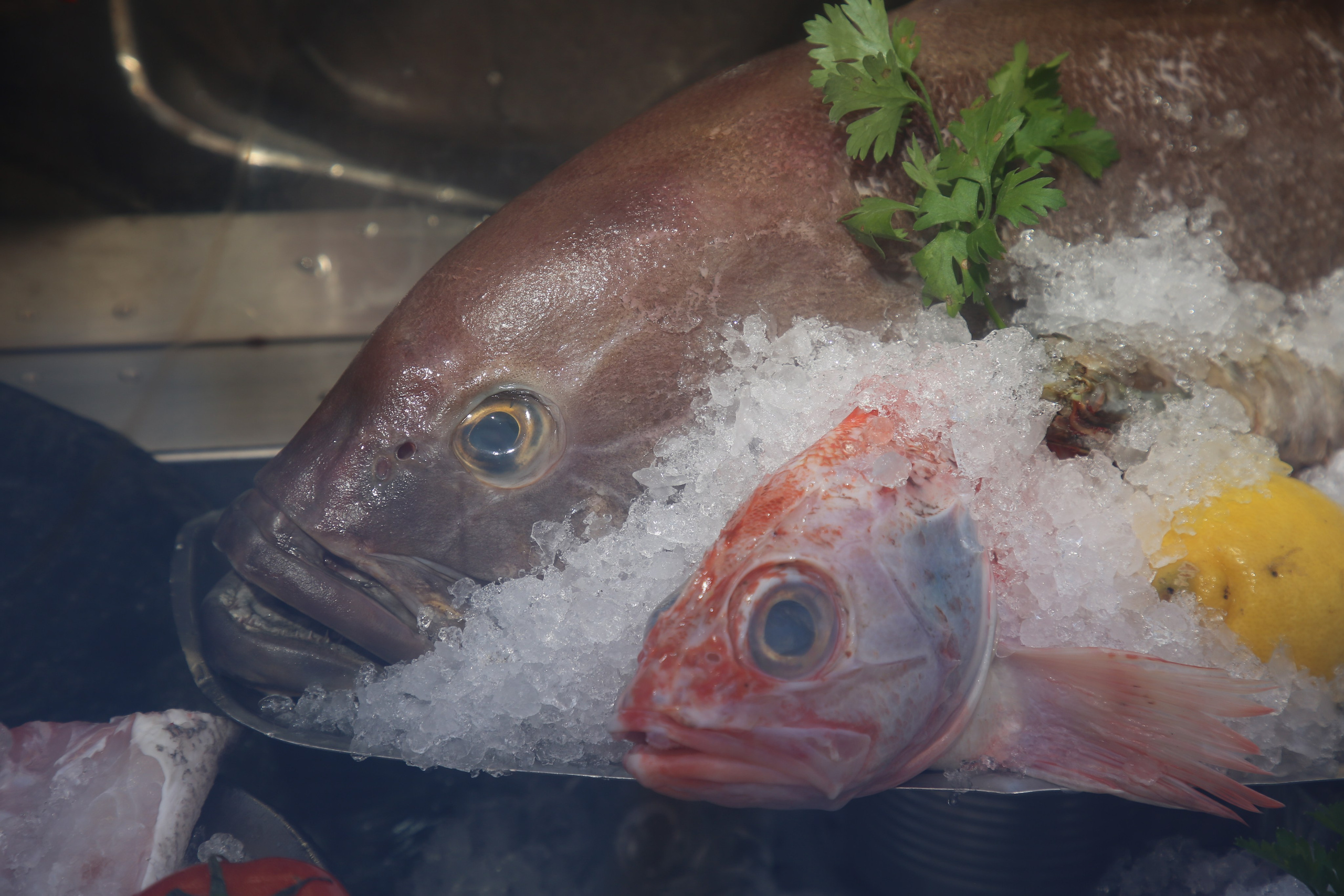 Lisbon, Portugal. Andrey Filippov Photographer