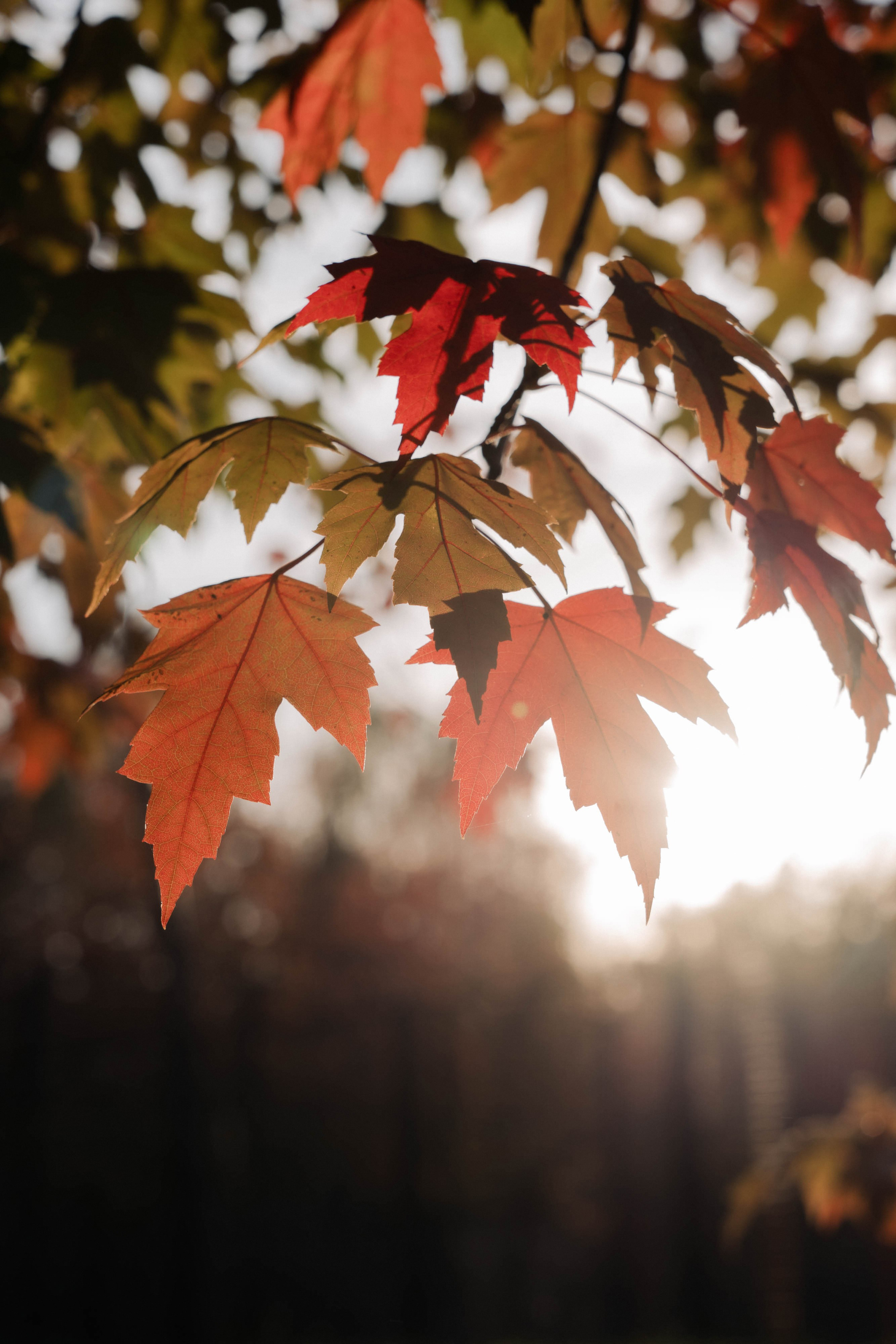 Семейные истории. ФОТОГРАФ КСЕНИЯ СОСНОВСКАЯ