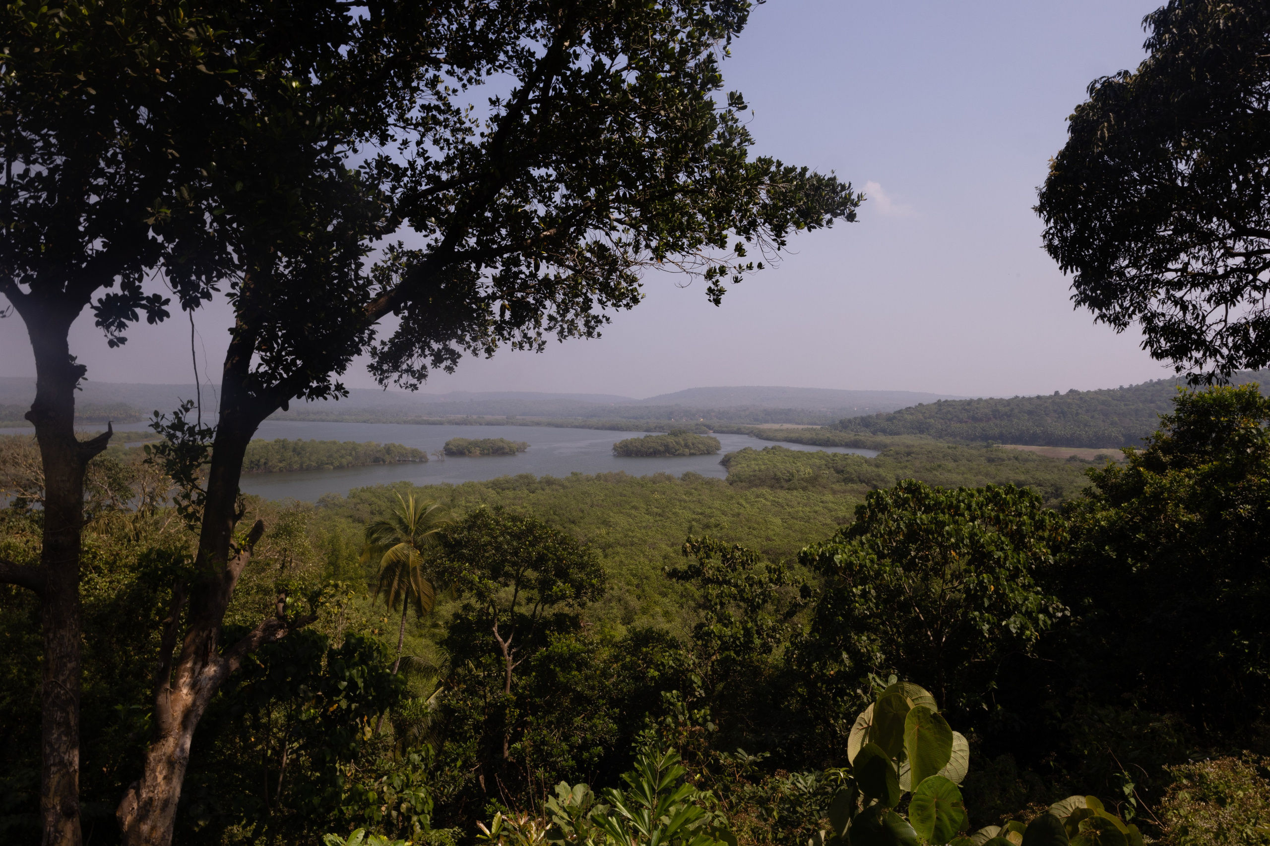 ГОА 2024. Руслан Плахтеев