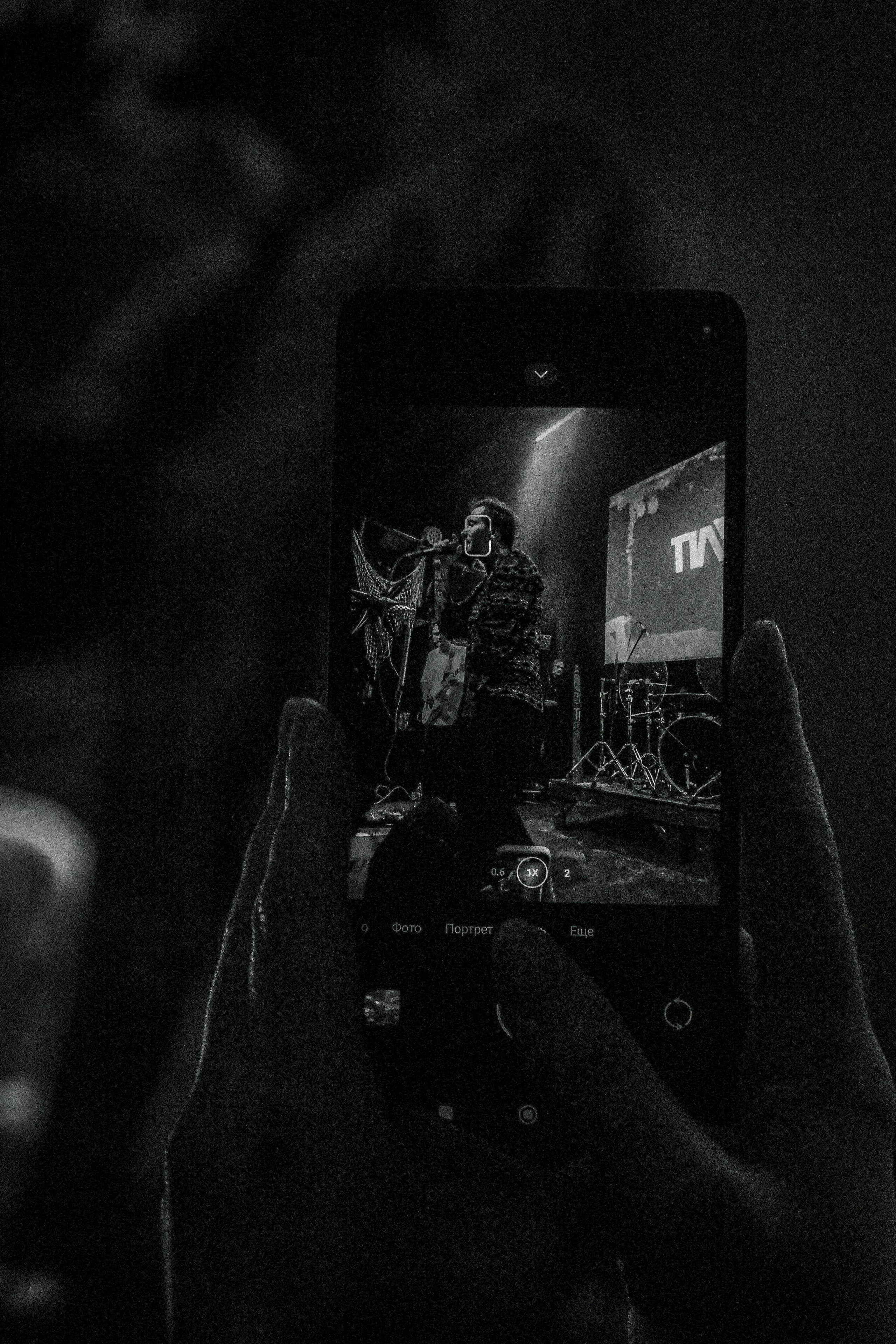 ПЛАВИЦА | ЛАСТОЧКА. Фотограф из Петербурга Софи Веритас Концерты и портреты