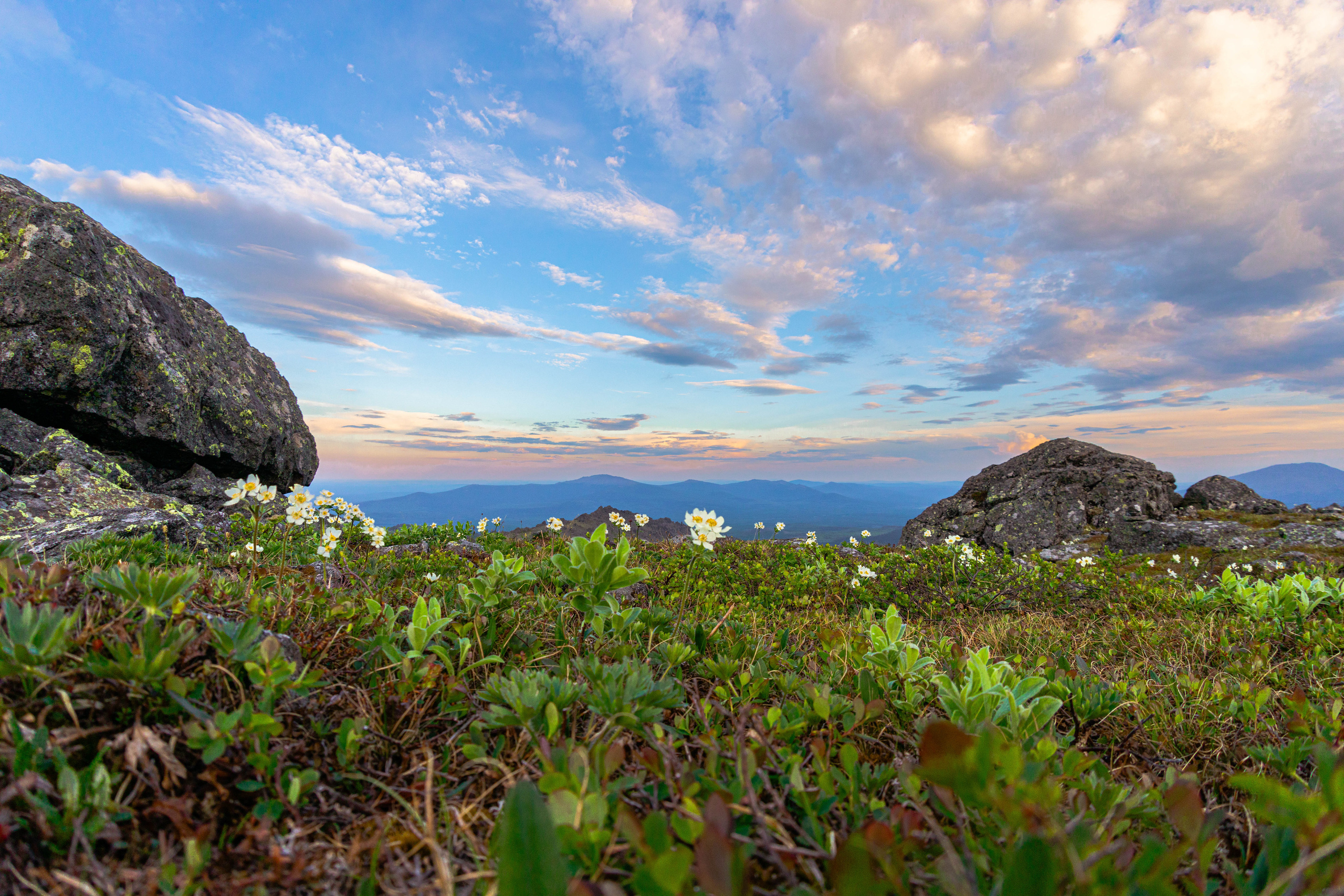 Природа. Алексей Михеев Фотограф г. Москва