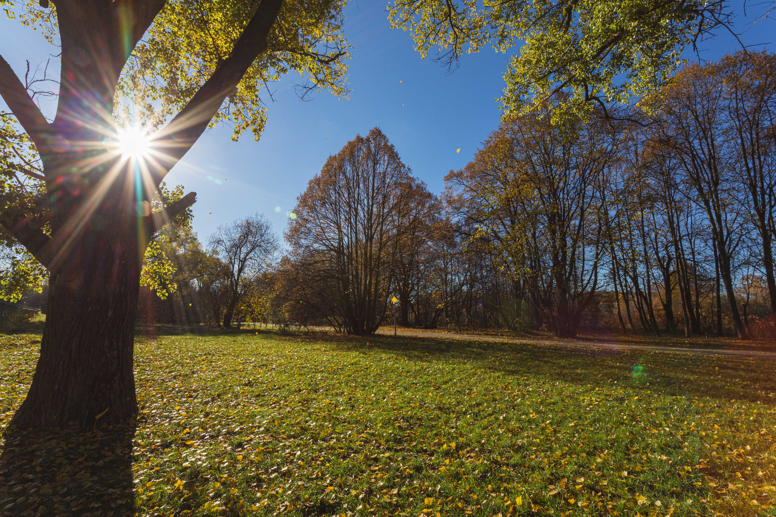 Природа. Алексей Михеев Фотограф г. Москва