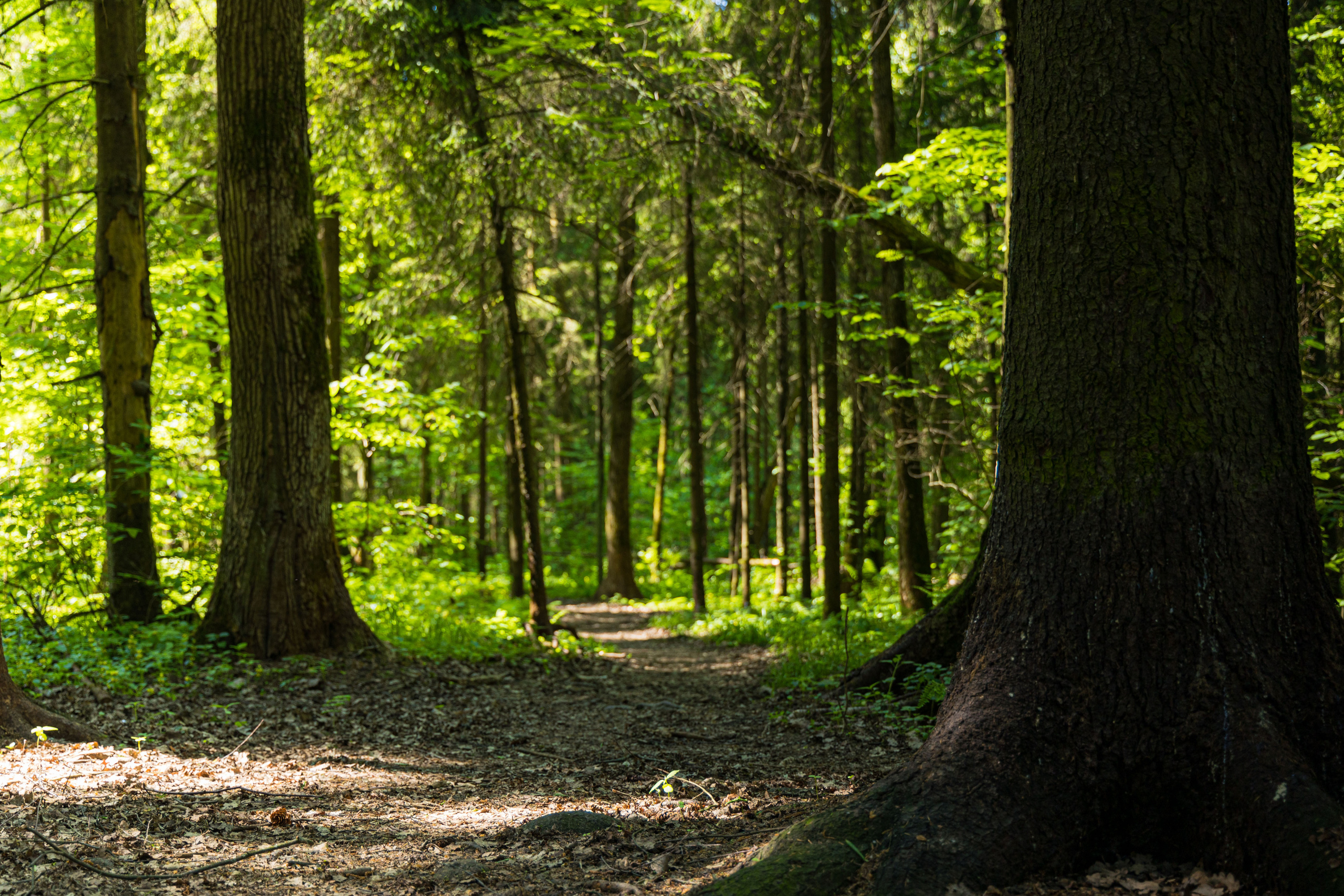 Природа. Алексей Михеев Фотограф г. Москва