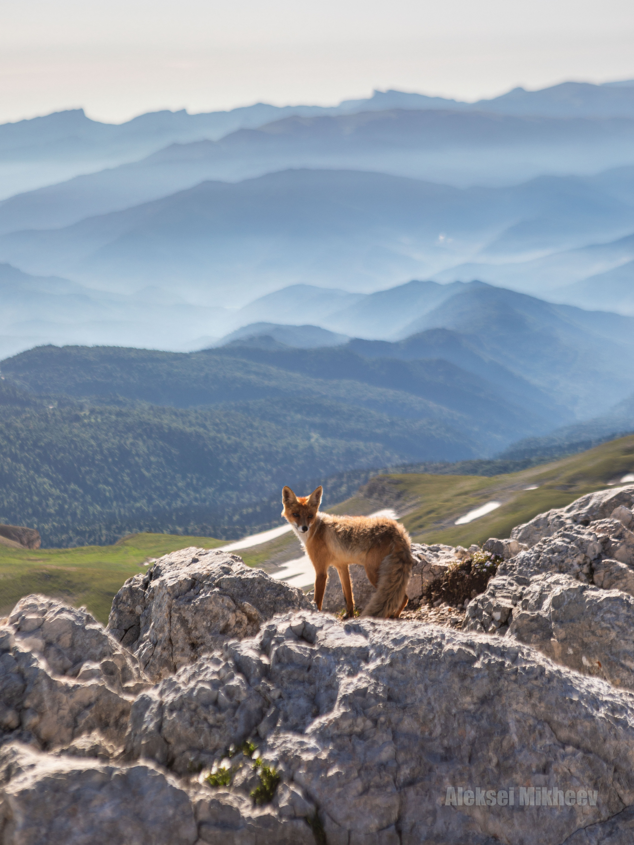 Природа. Алексей Михеев Фотограф г. Москва