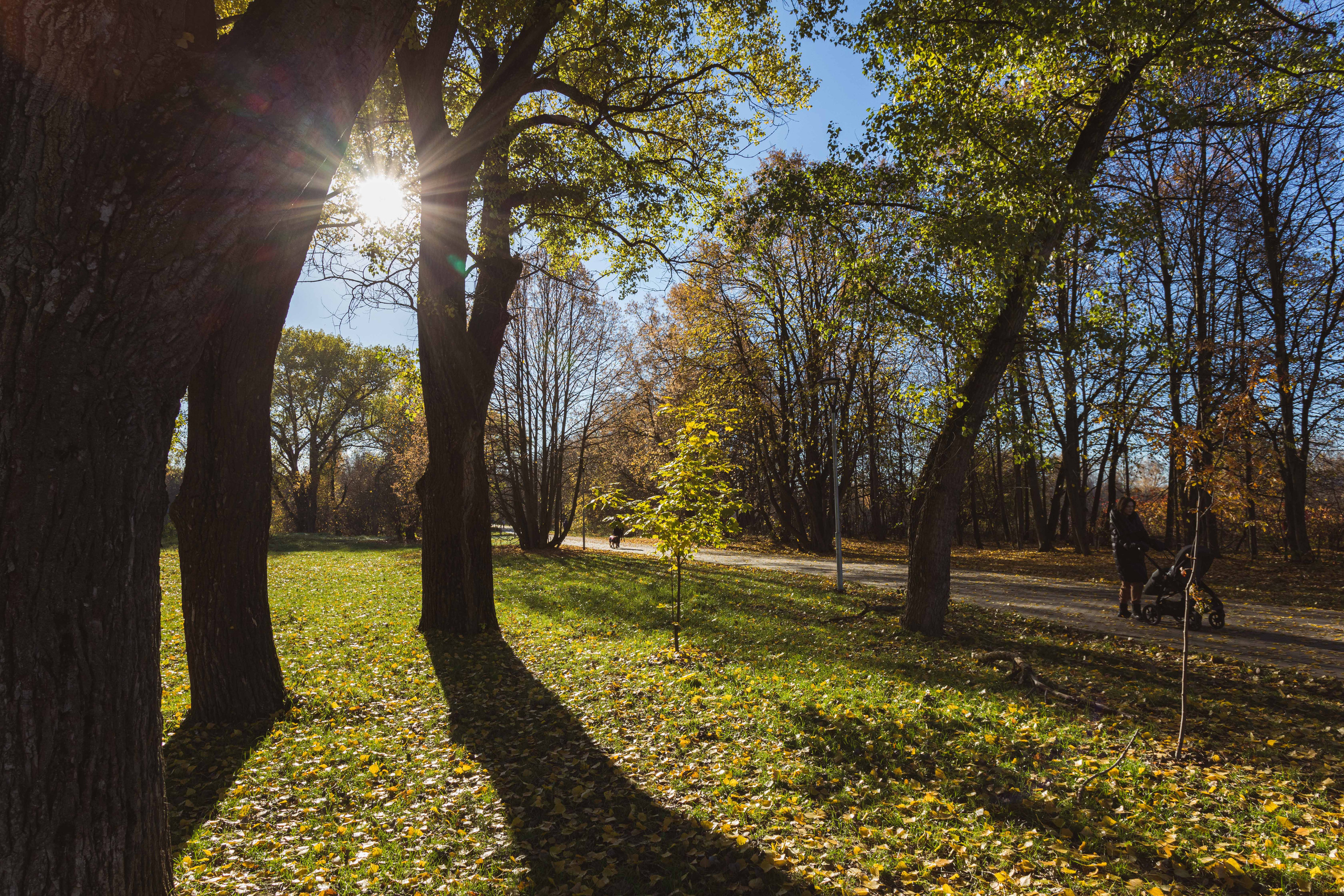 Природа. Алексей Михеев Фотограф г. Москва