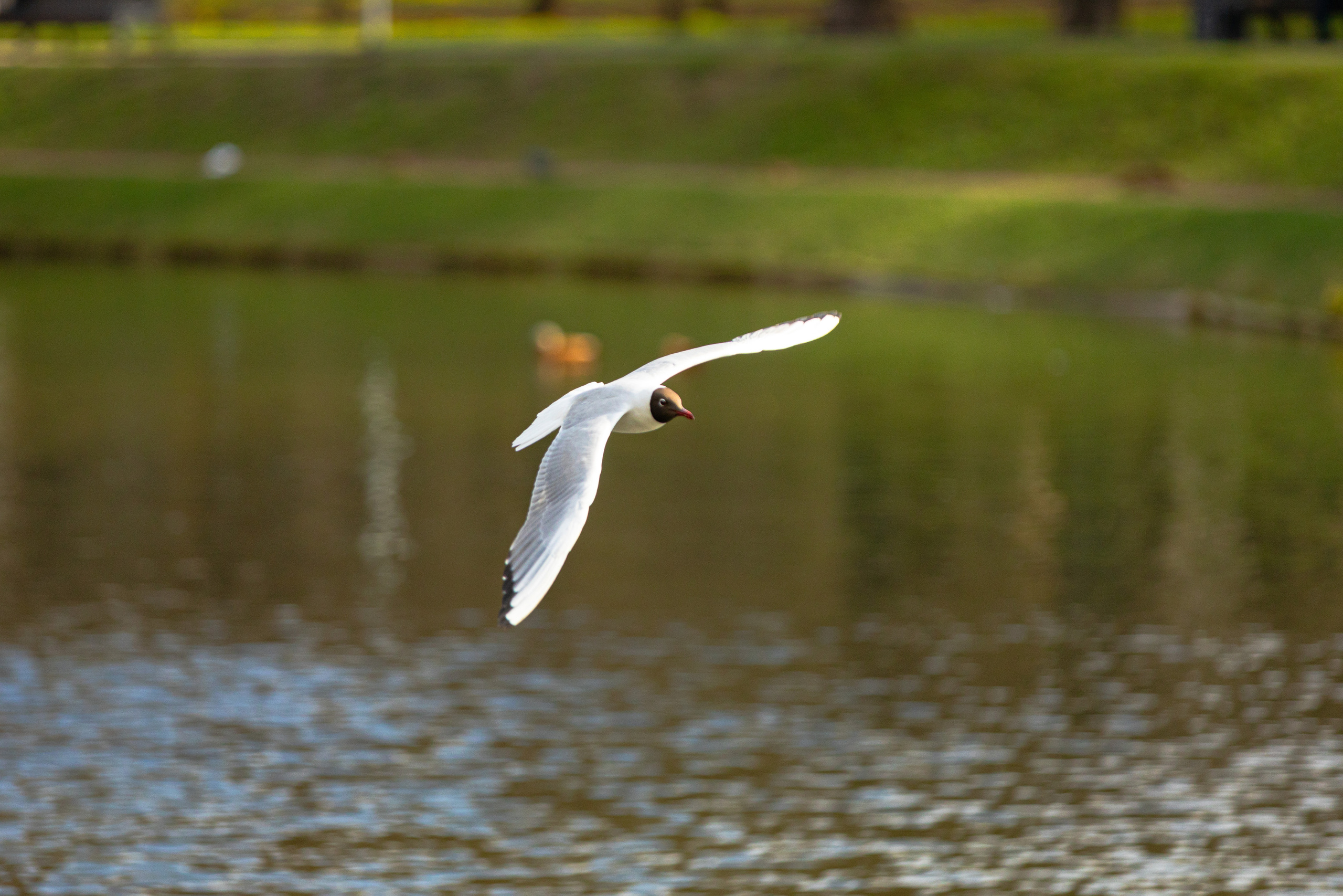Природа. Алексей Михеев Фотограф г. Москва