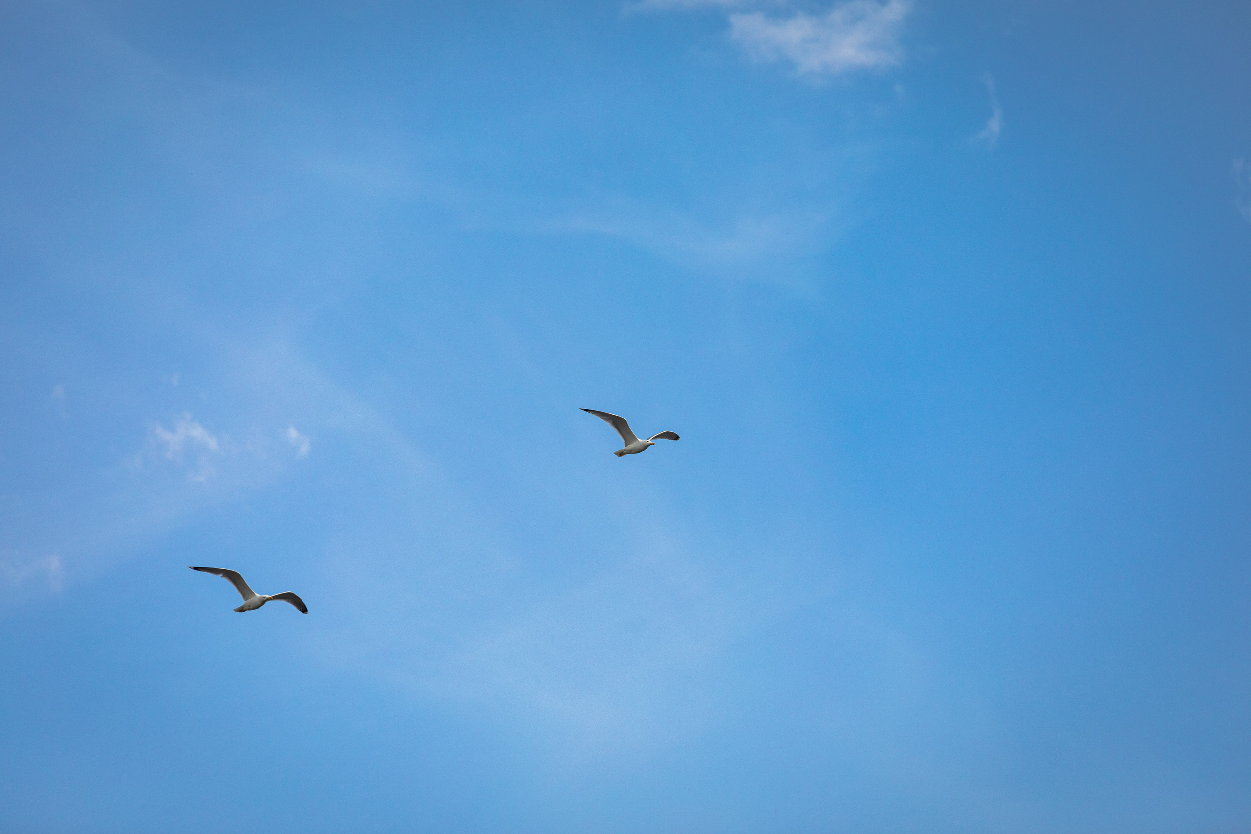 Природа. Алексей Михеев Фотограф г. Москва