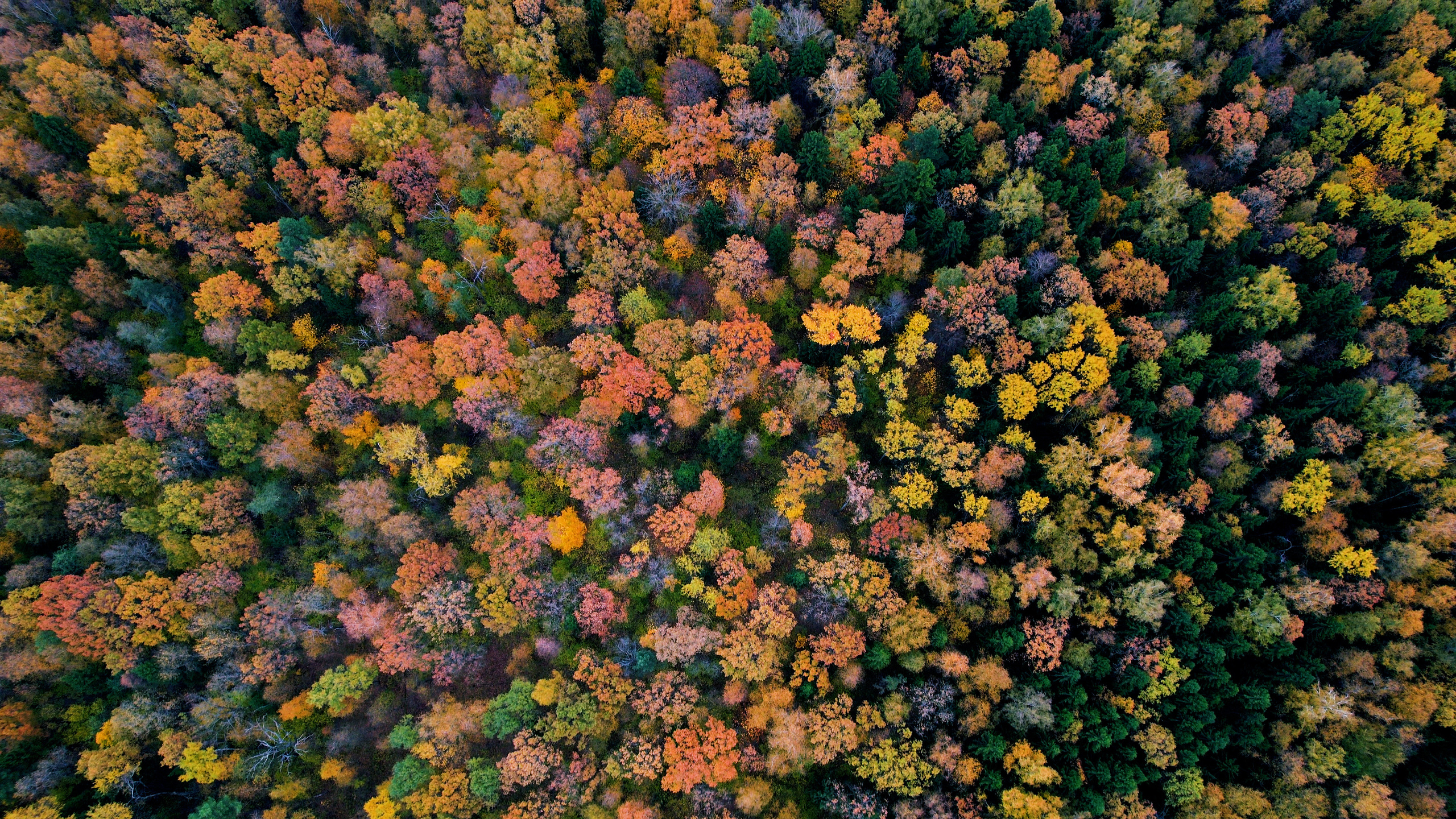 Природа. Алексей Михеев Фотограф г. Москва