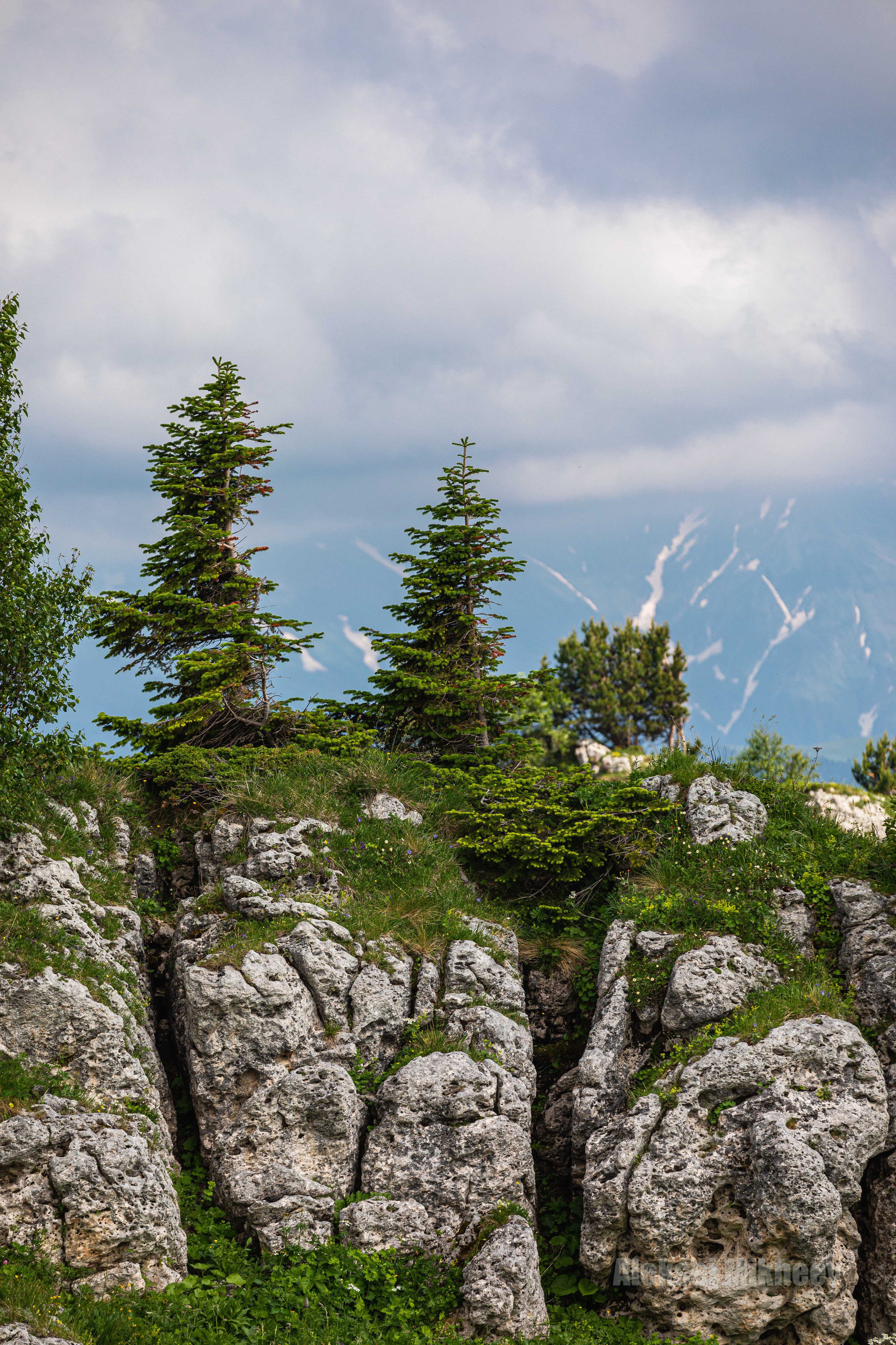 Природа. Алексей Михеев Фотограф г. Москва