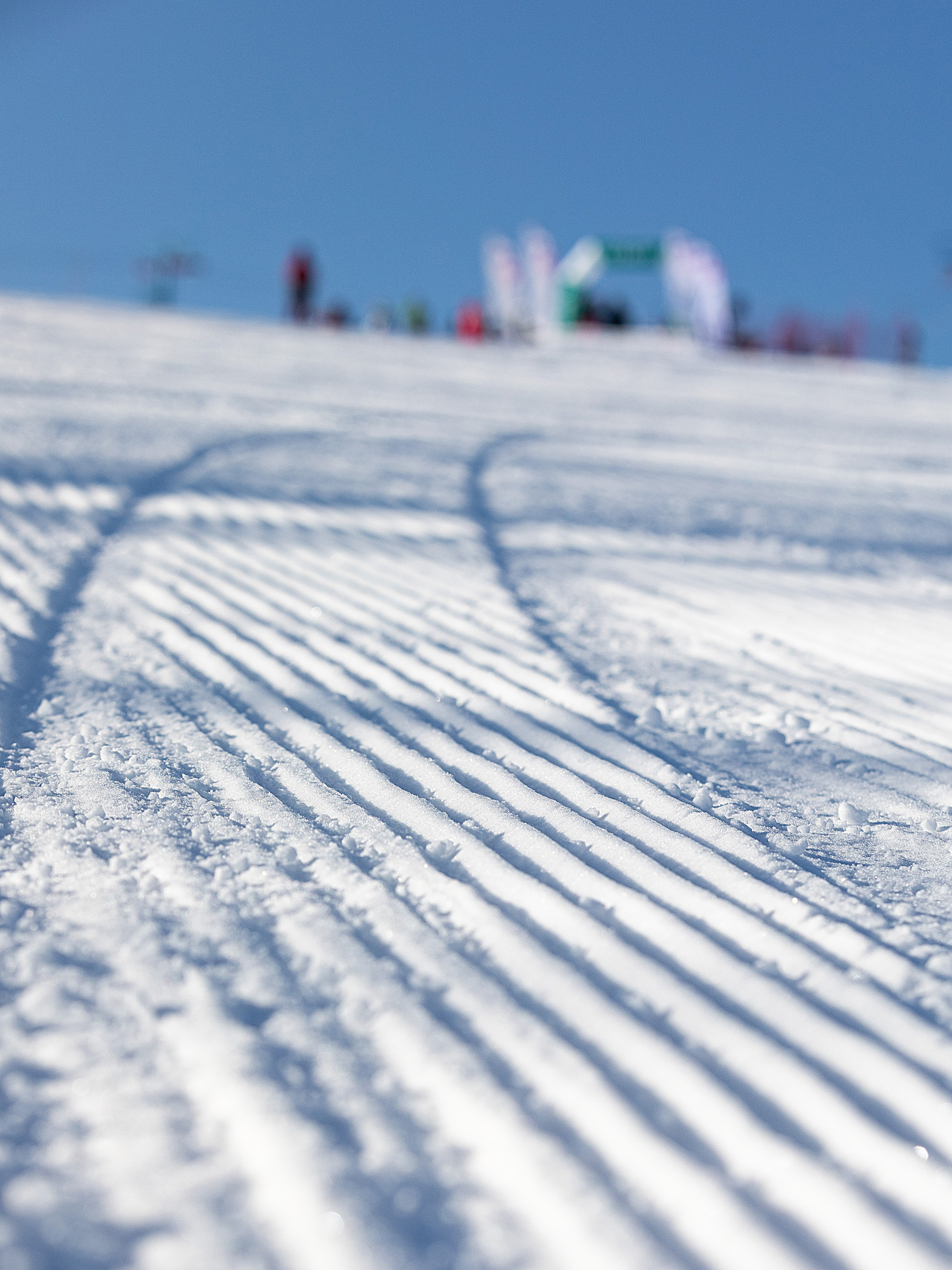 Спорт. Алексей Михеев Фотограф г. Москва
