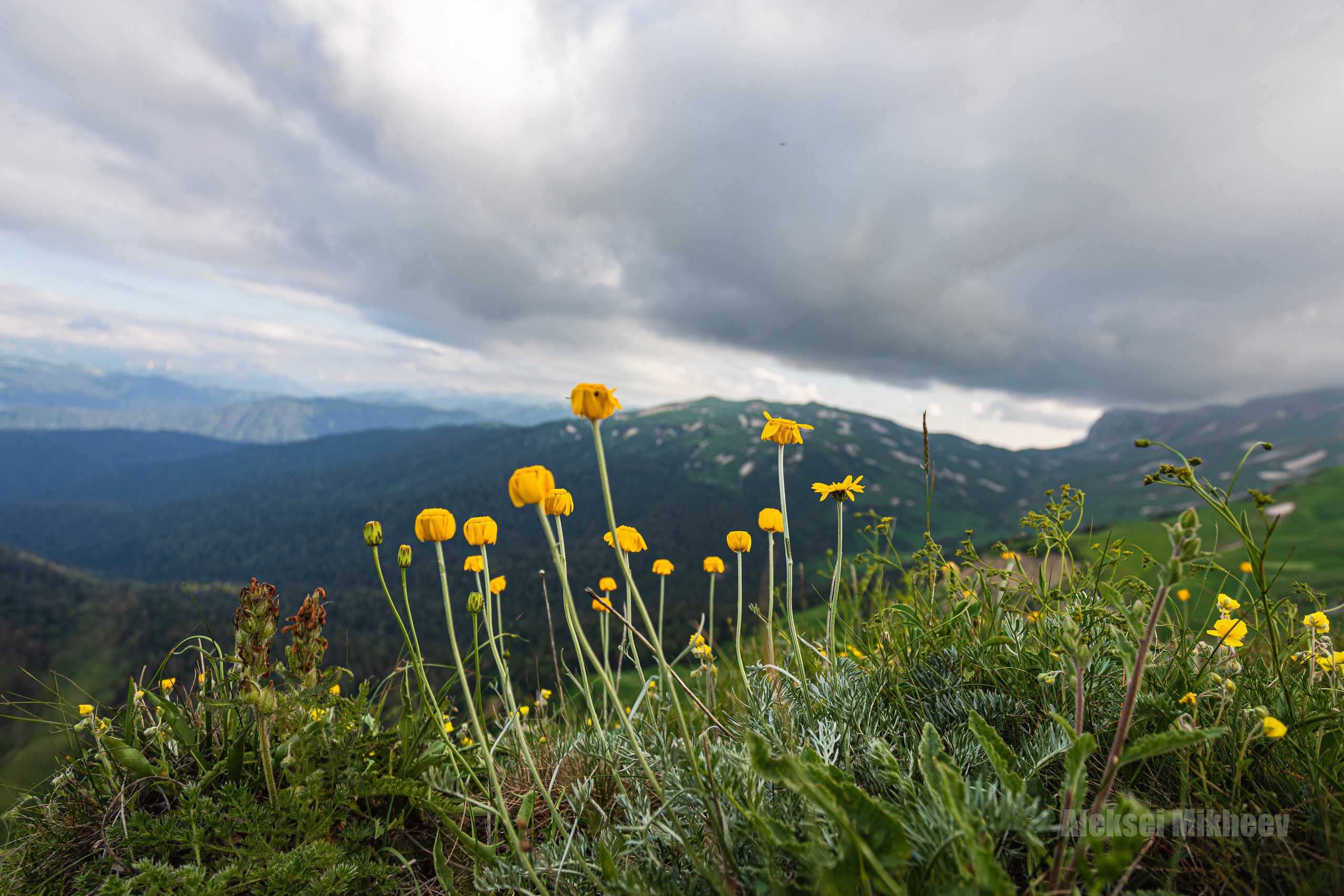 Природа. Алексей Михеев Фотограф г. Москва