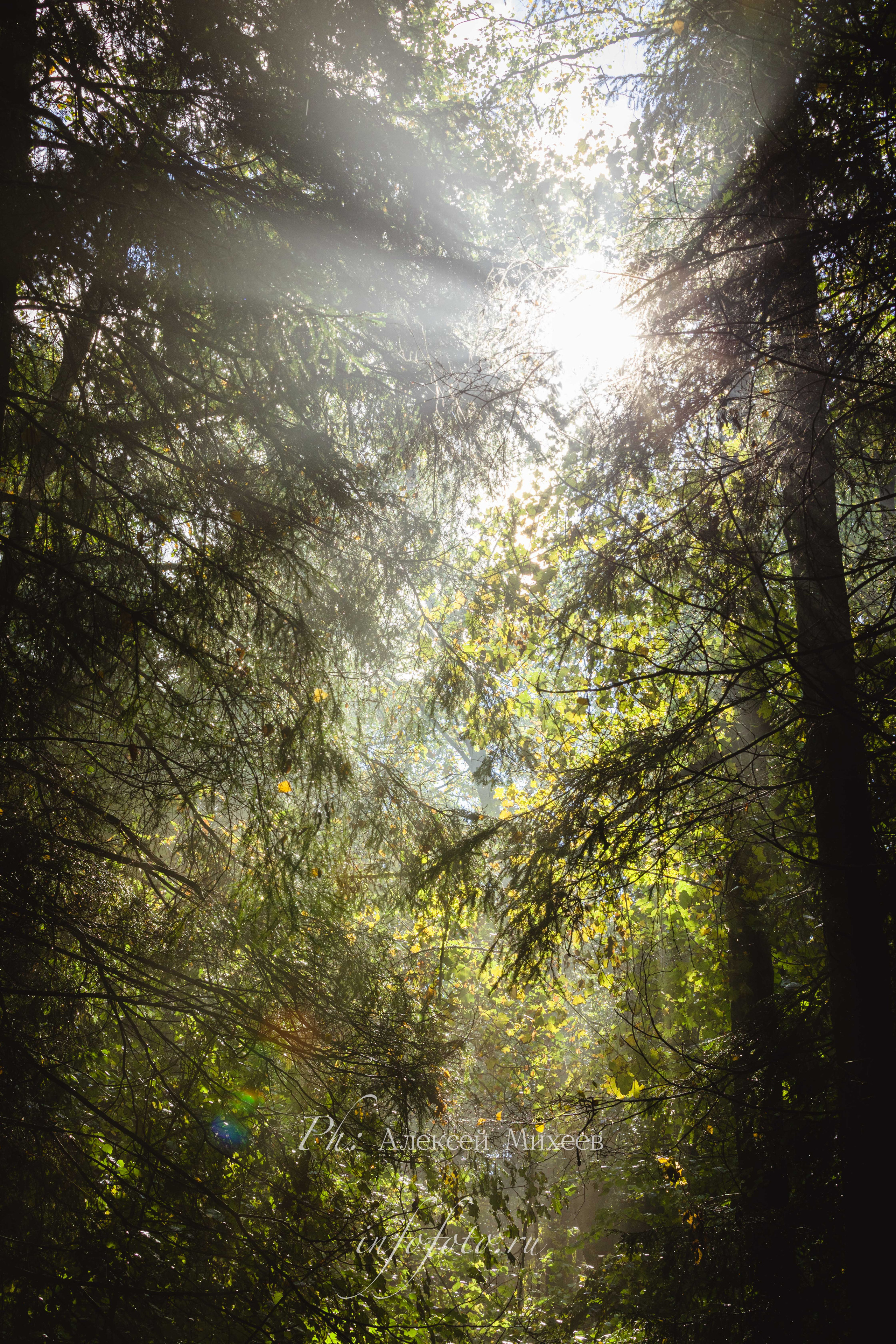 Природа. Алексей Михеев Фотограф г. Москва