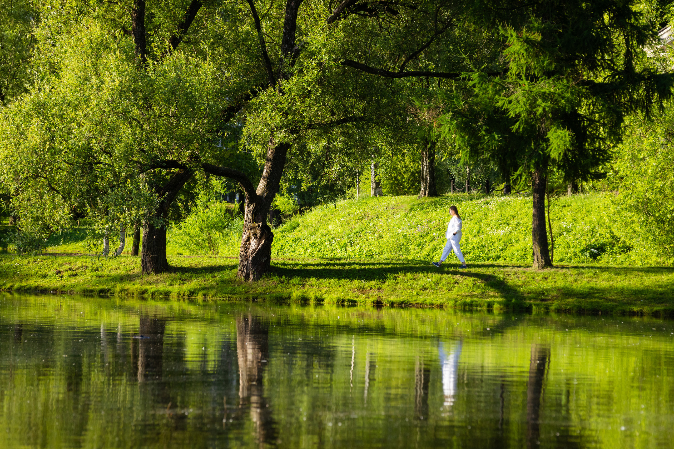 Фотосессии. Алексей Михеев Фотограф г. Москва